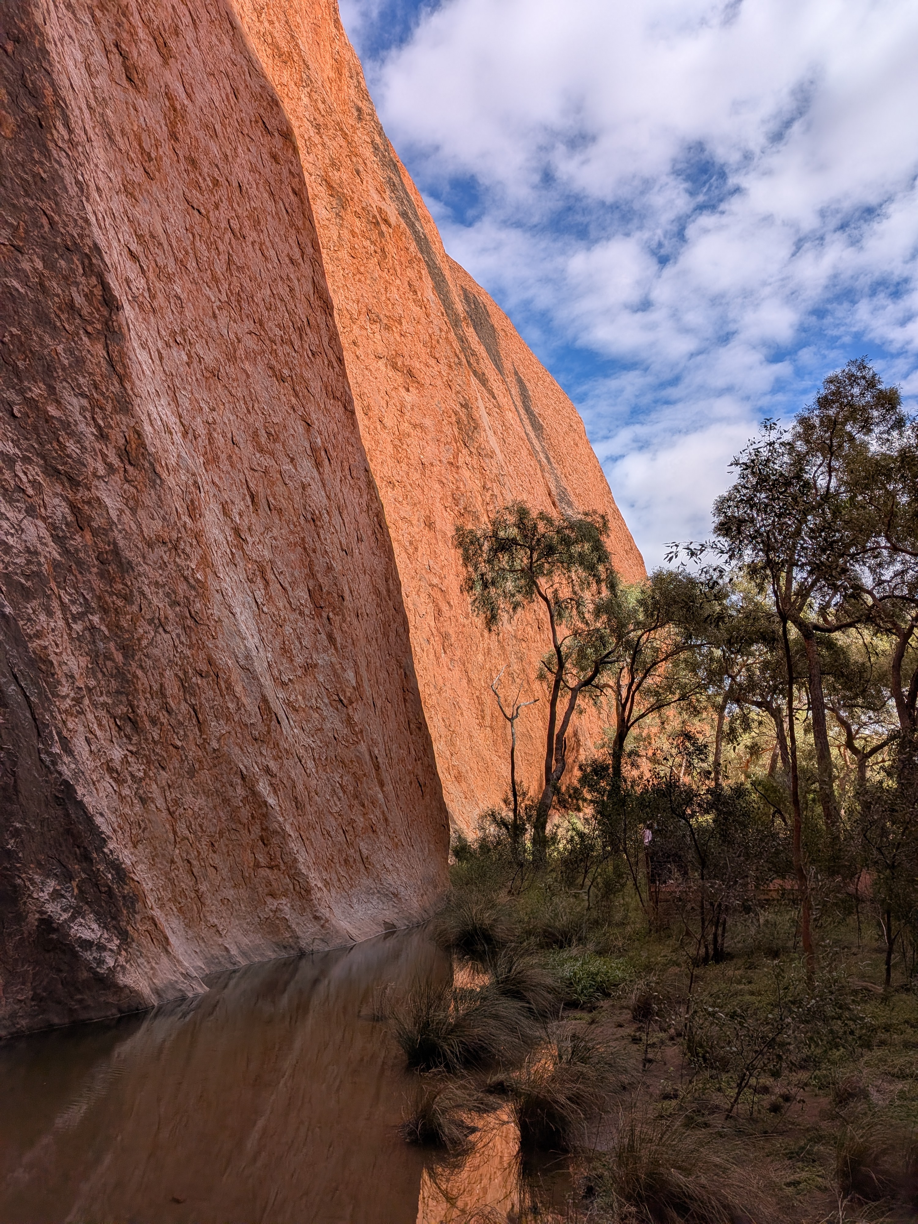 The cliff face and Mutitjulu Waterhole on the Kuniya Walk
