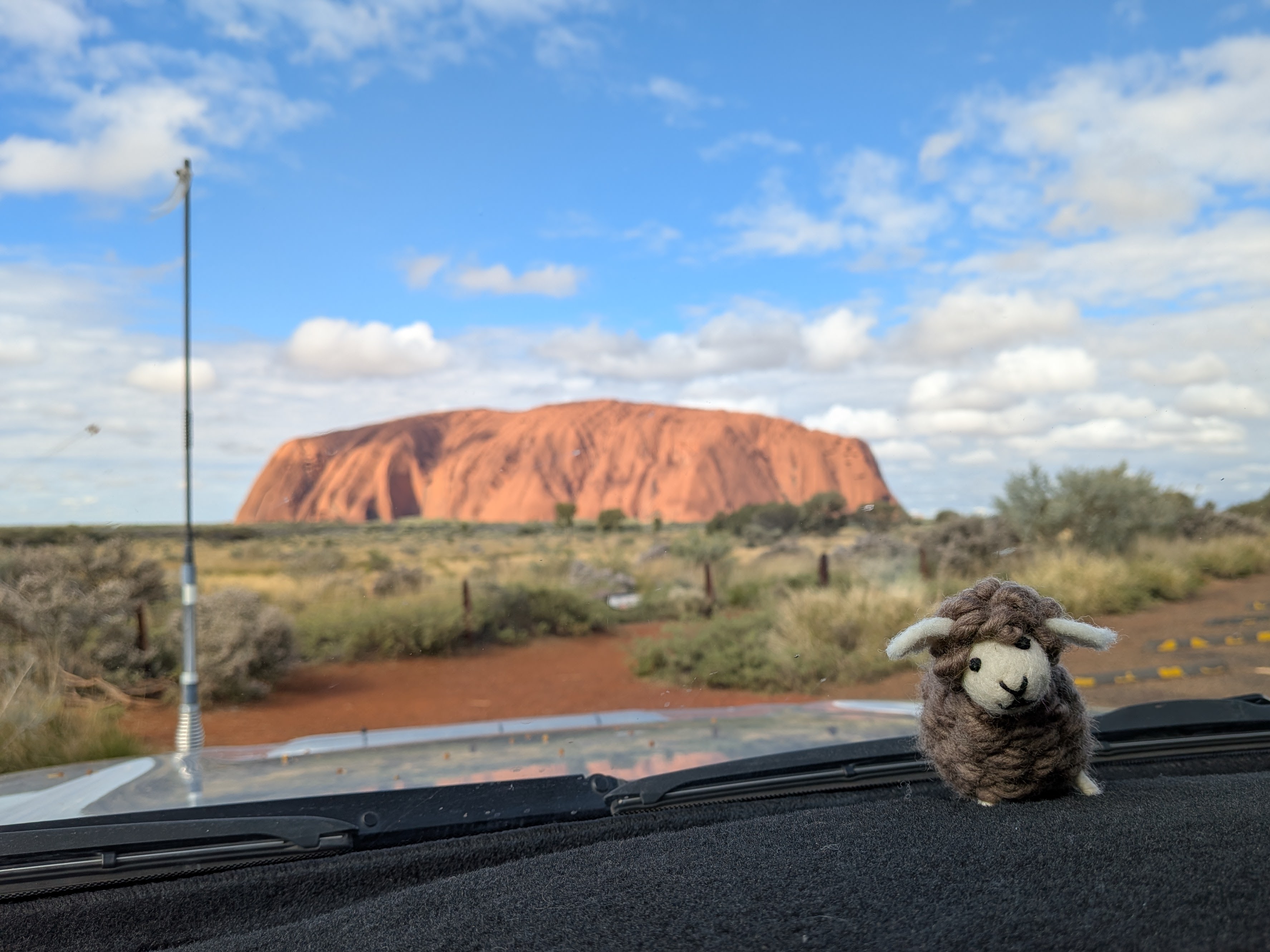 Dashboard sheep with Uluru in the background