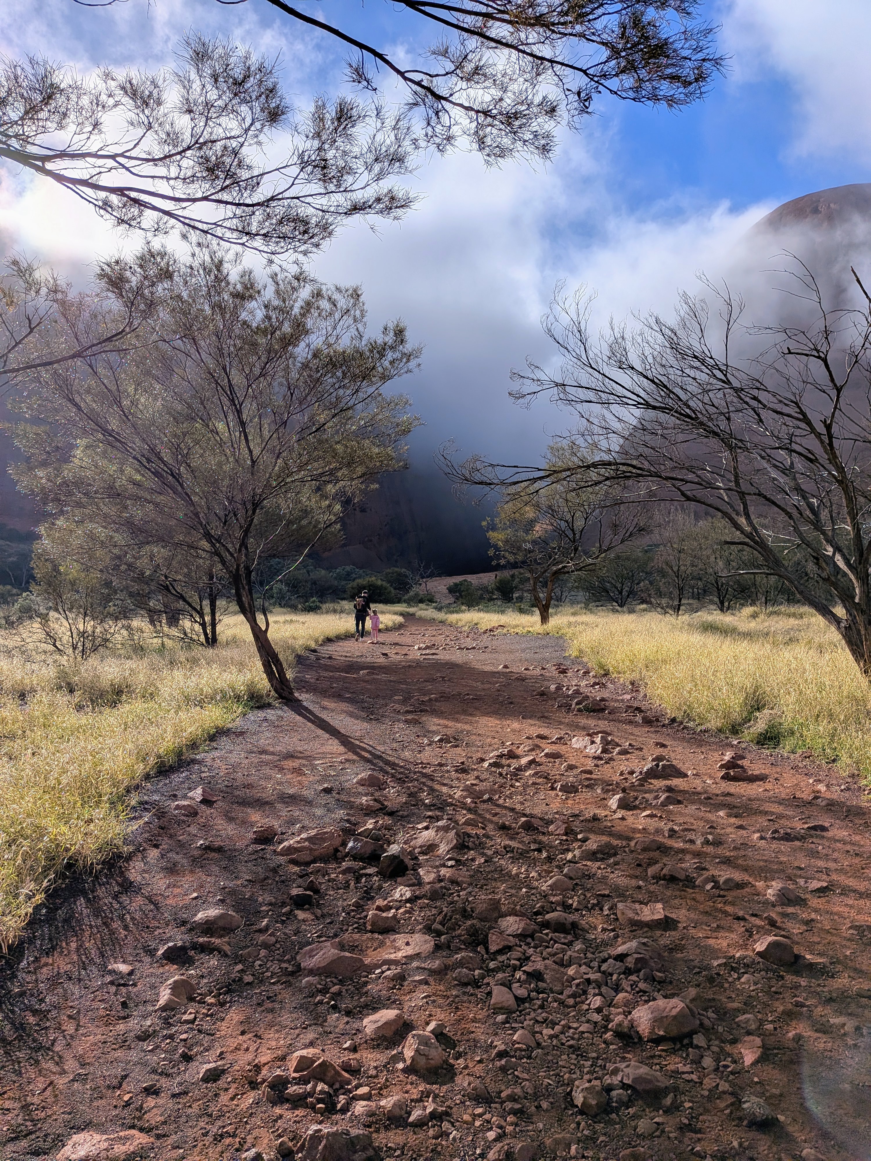 The foggy path toward the domes at Kata Tjuta