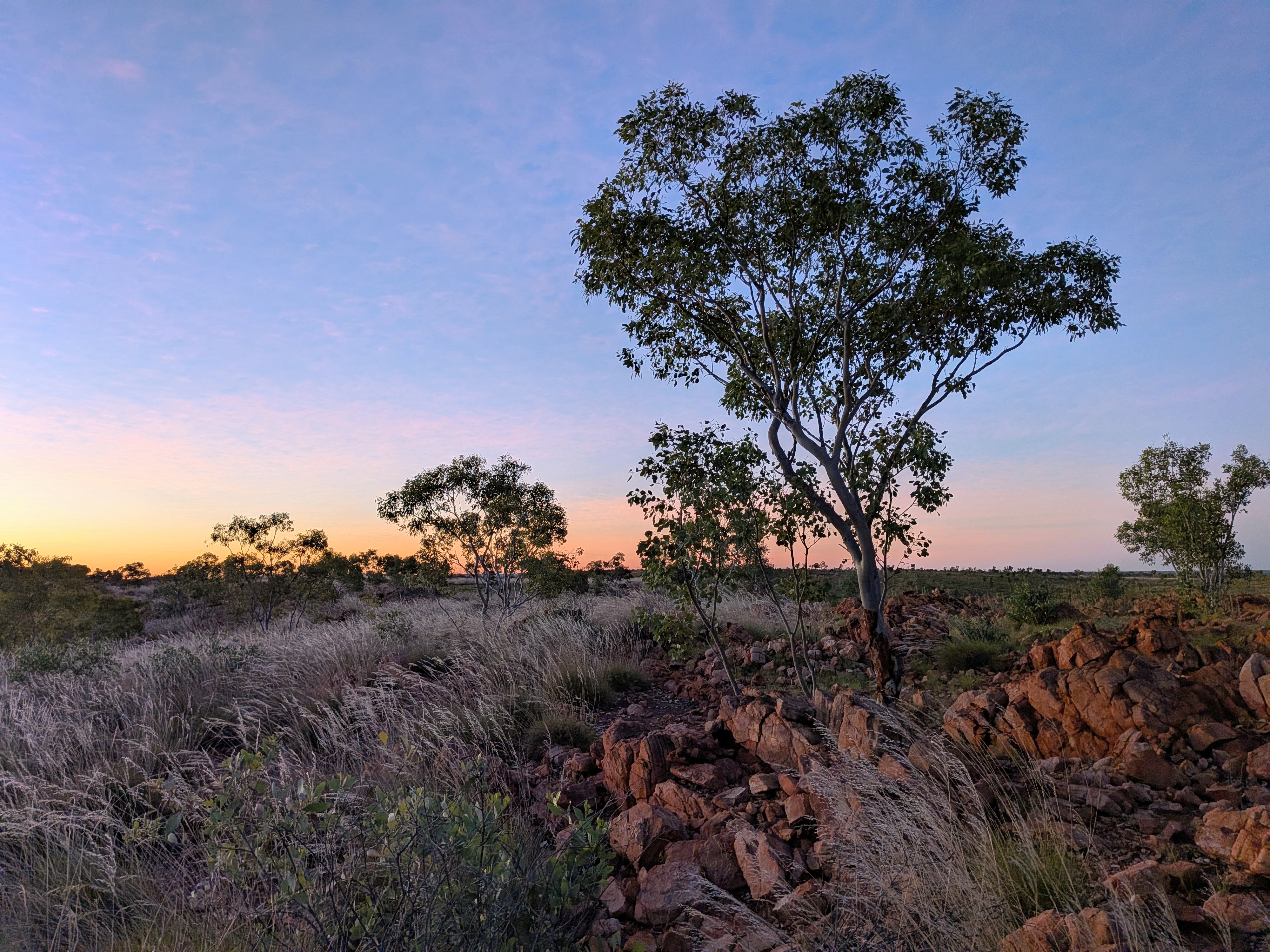 Sunset over the bushland at Churchill's Head with silvery grass and red rocky outcrops