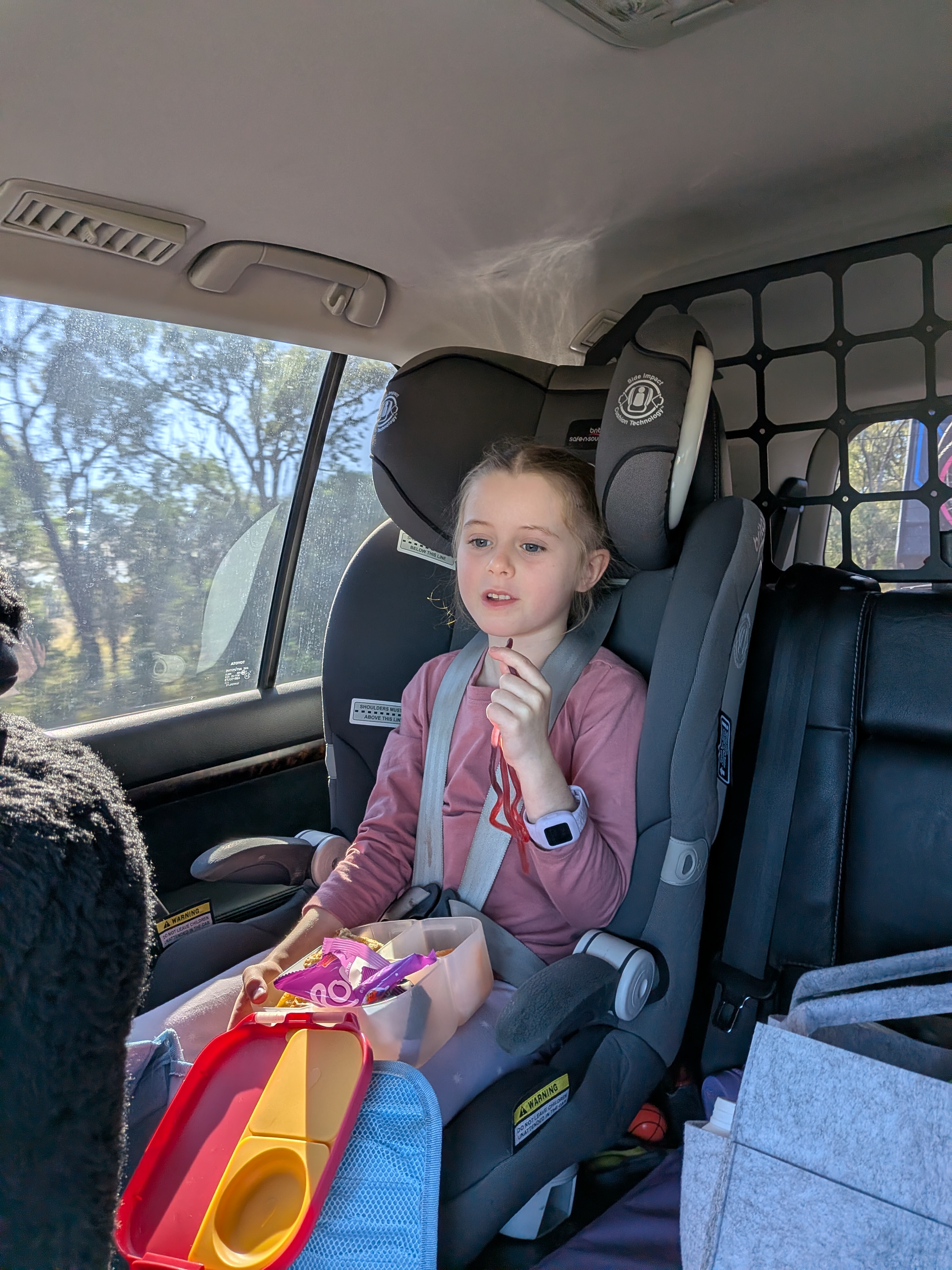 Hazel snacking in the back seat