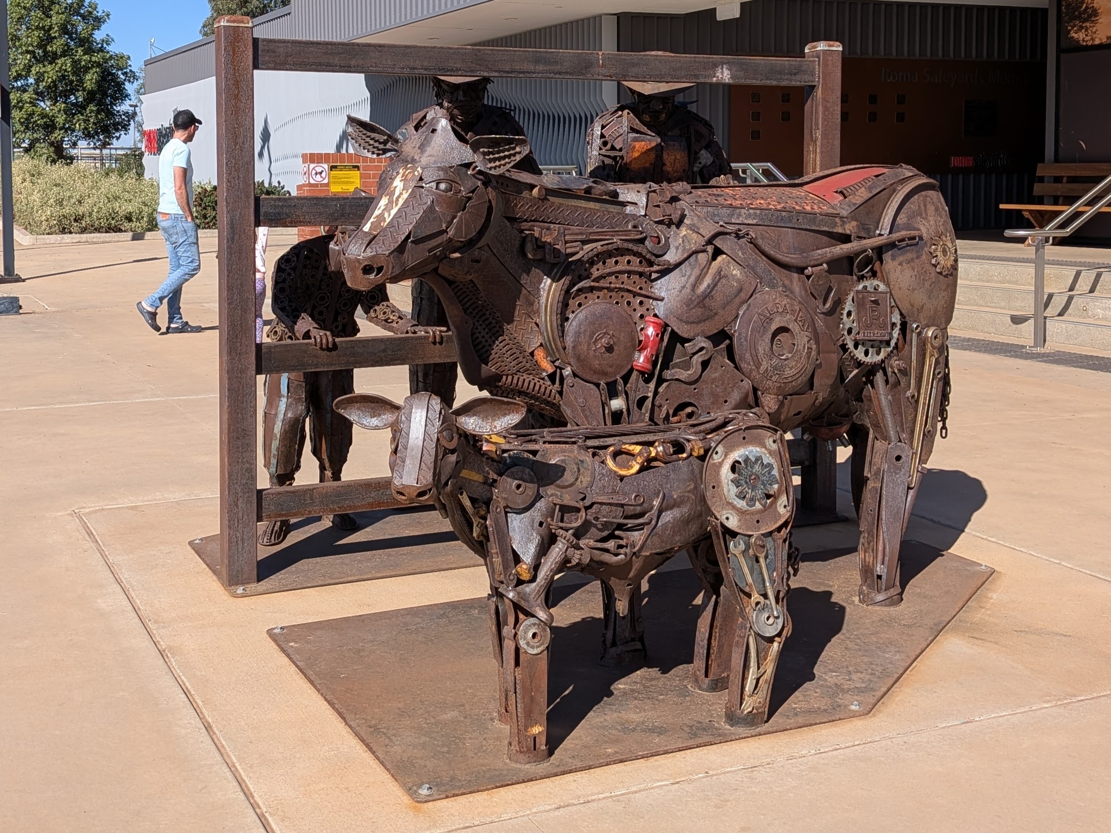 Scrap metal cattle sculpture at Roma saleyards