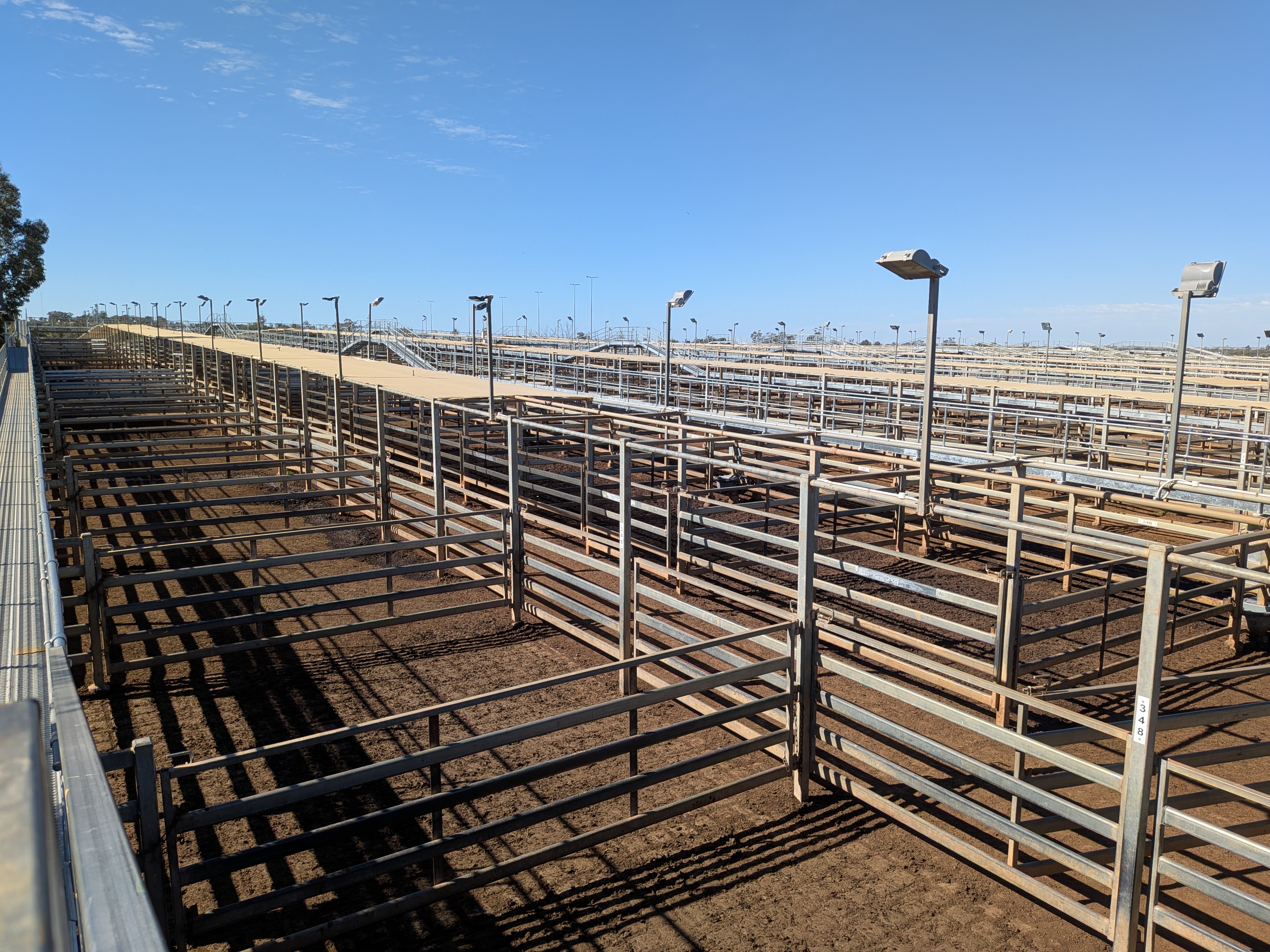 Roma saleyards — the empty yards