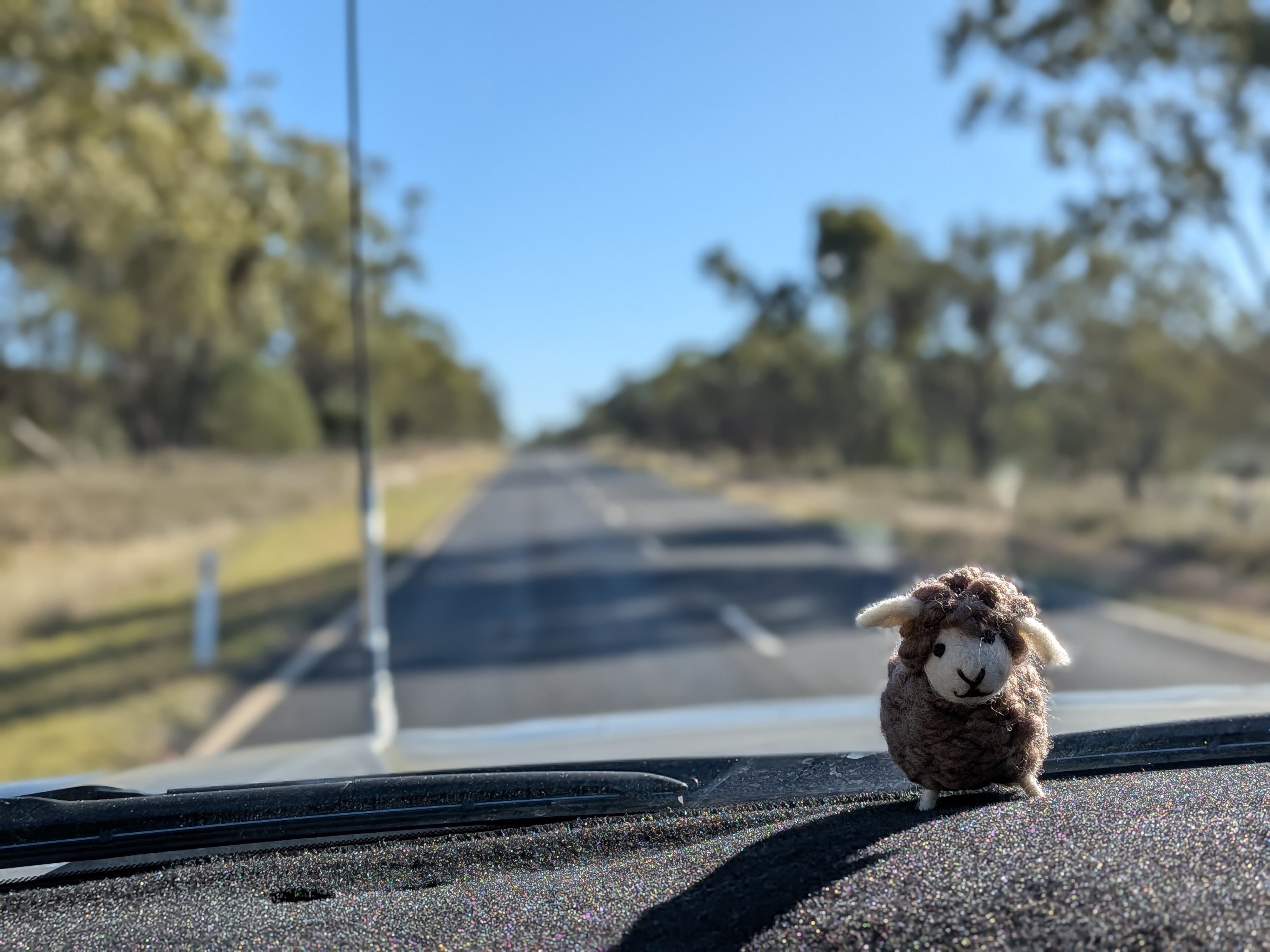 Little sheep toy on the dashboard, long straight road ahead