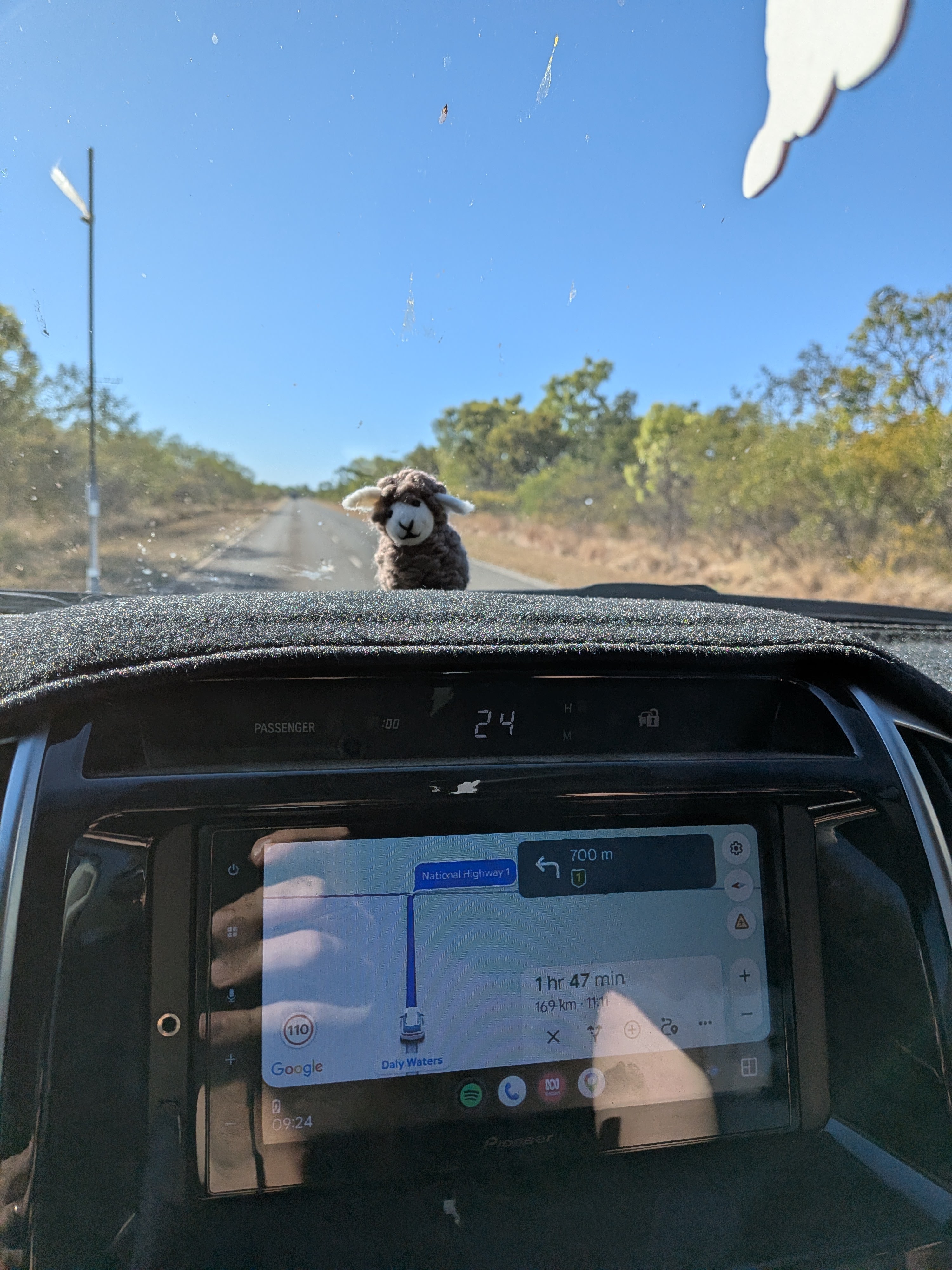 Baaanaby the dashboard sheep watching the road with 169km to go on the sat nav