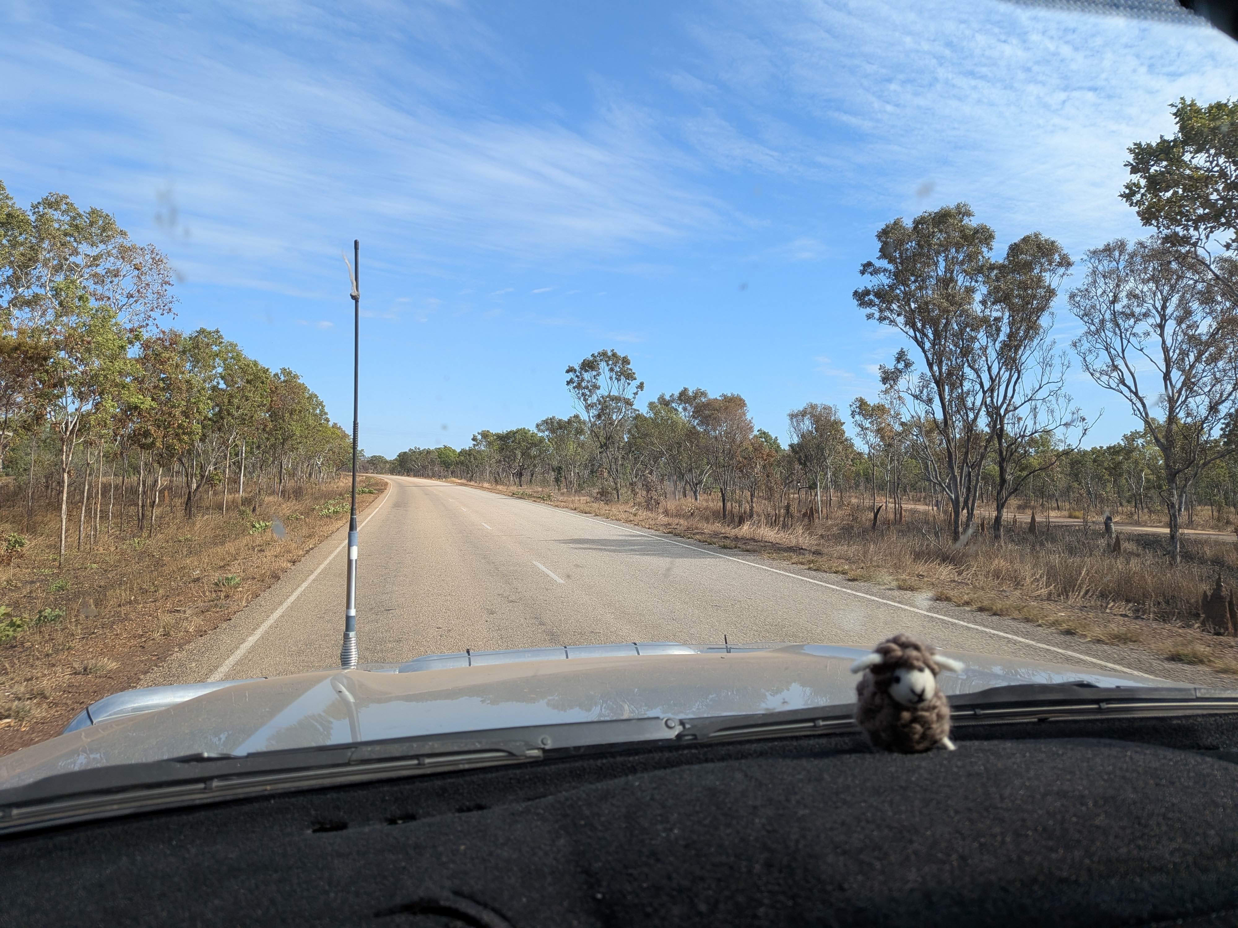 Back on the road — Baaanaby keeping watch from the dash