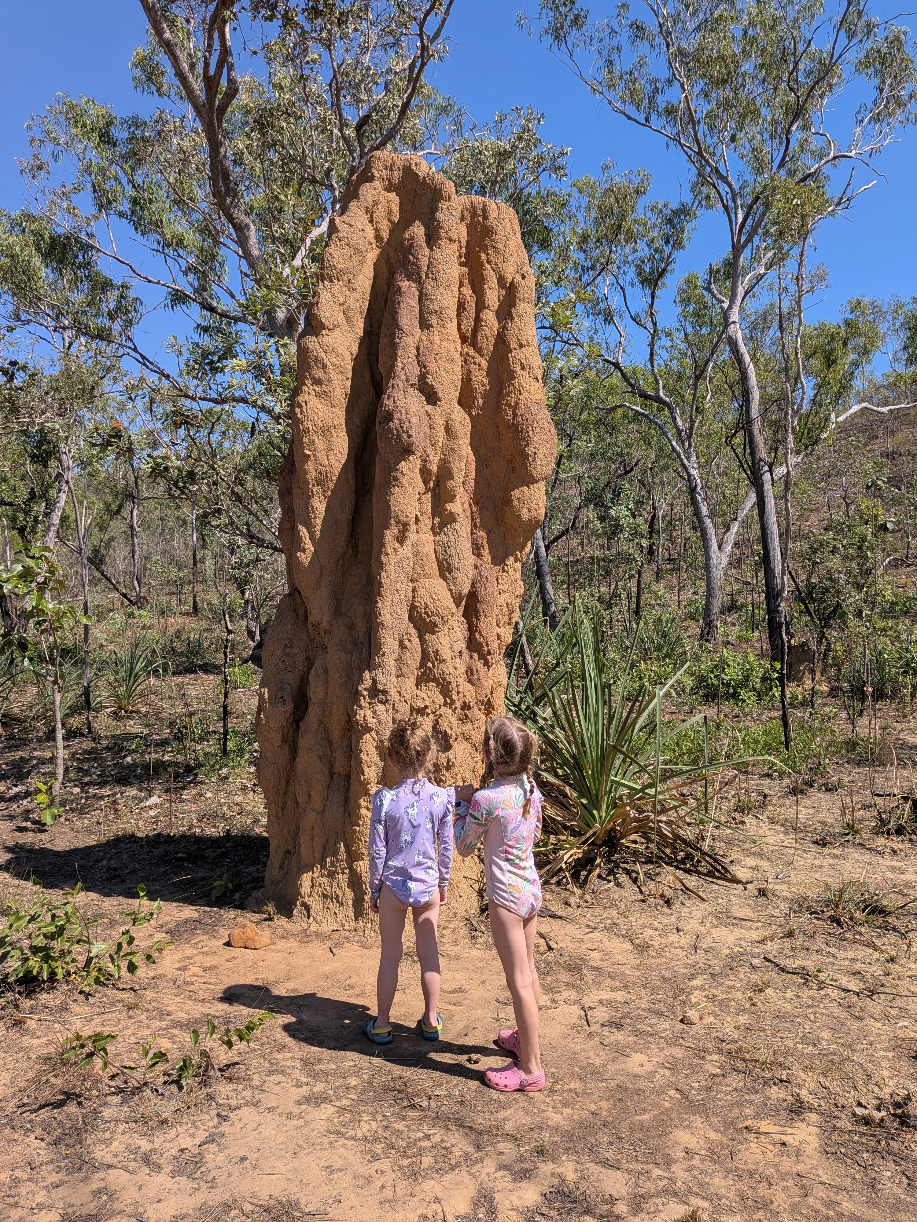 Hazel and Leah dwarfed at the base of a giant cathedral termite mound