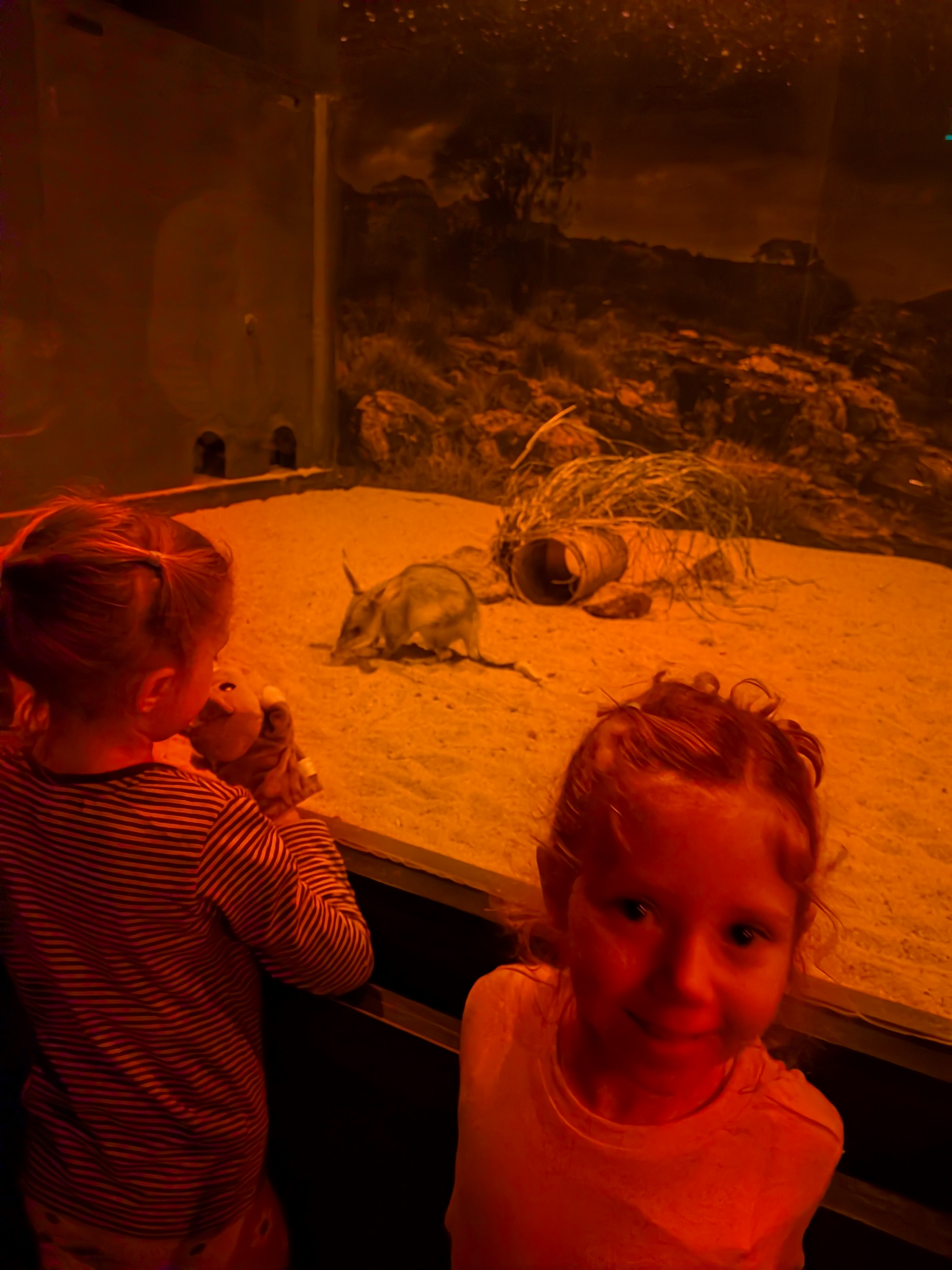 The girls watching the bilbies — Hazel holding Bob the Bilby toy