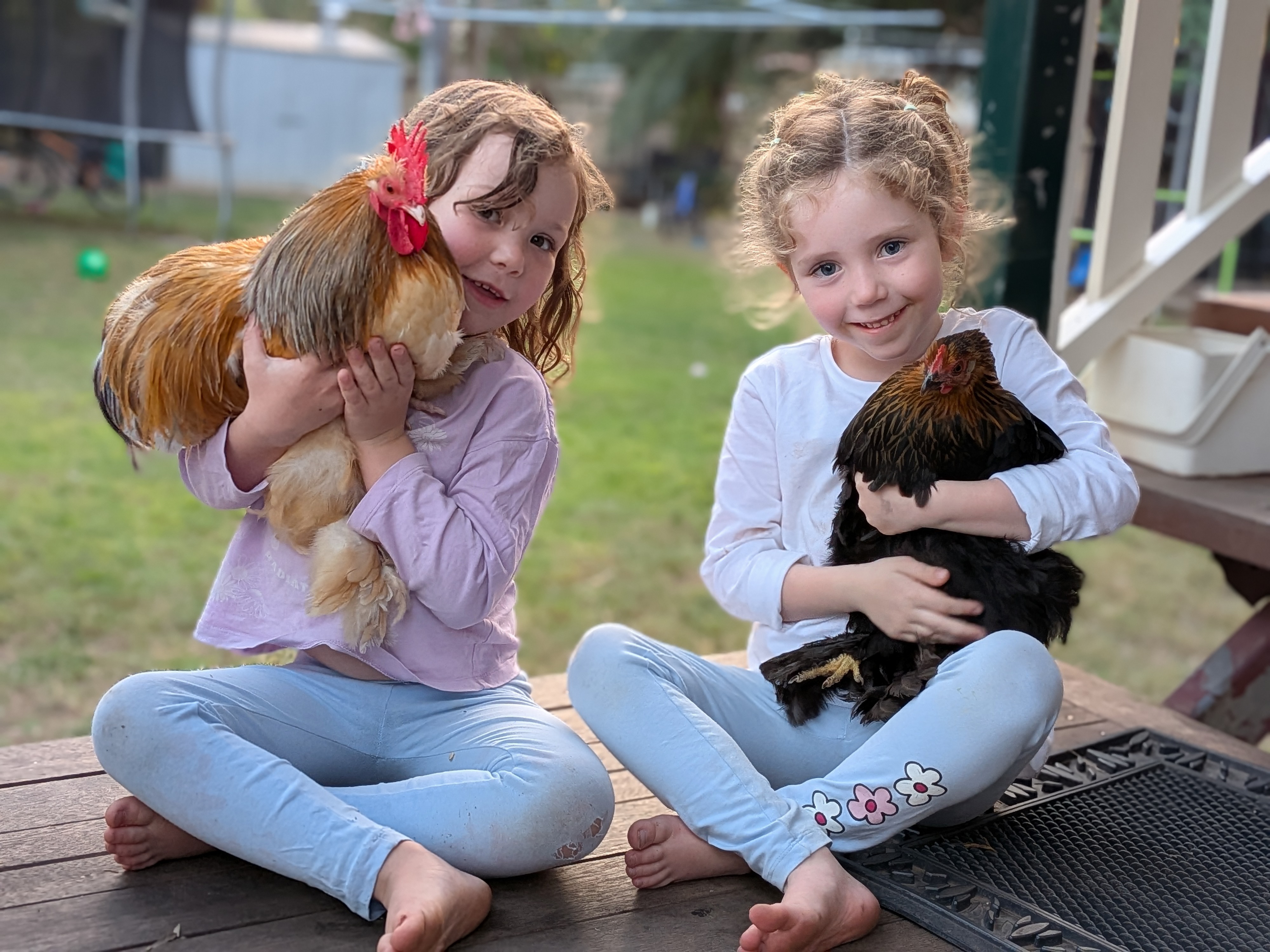 Hazel and Leah each holding a chicken on the deck