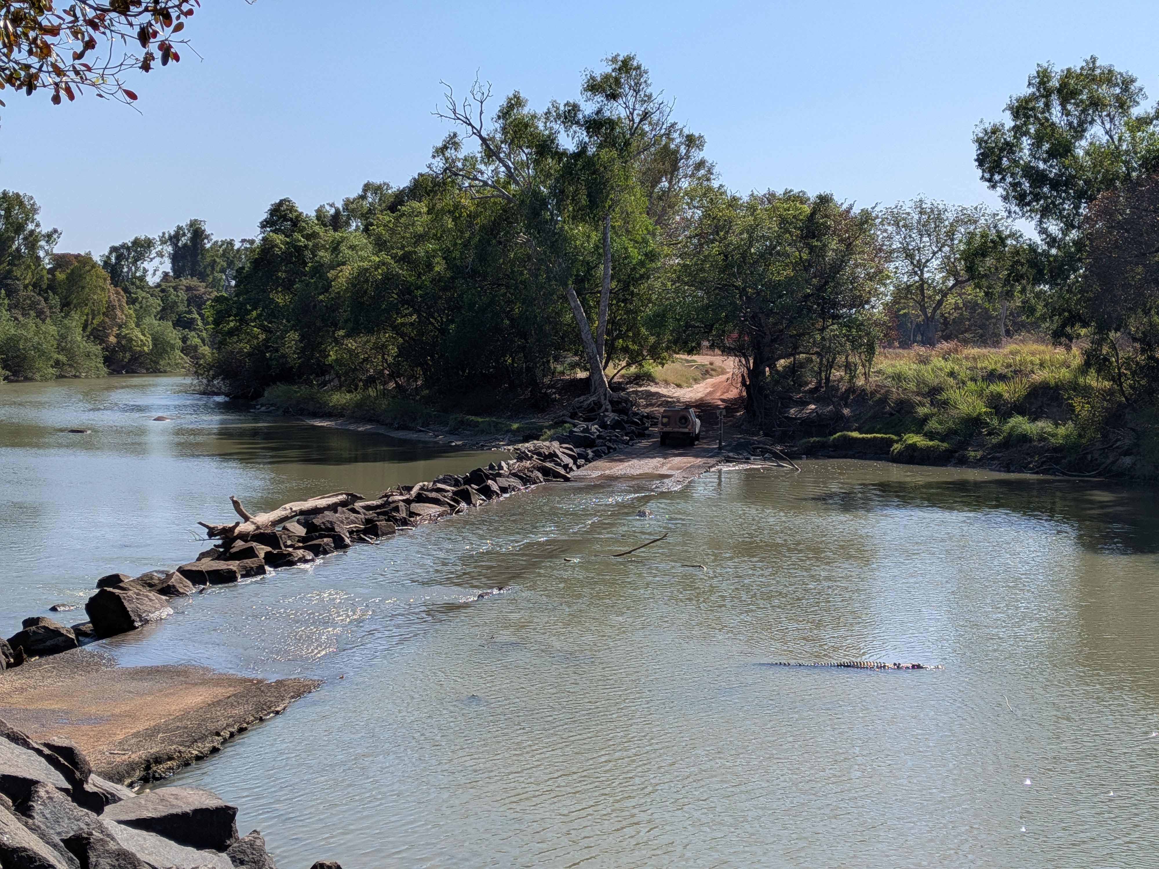 A saltwater crocodile loitering metres from a 4WD making the Cahills Crossing