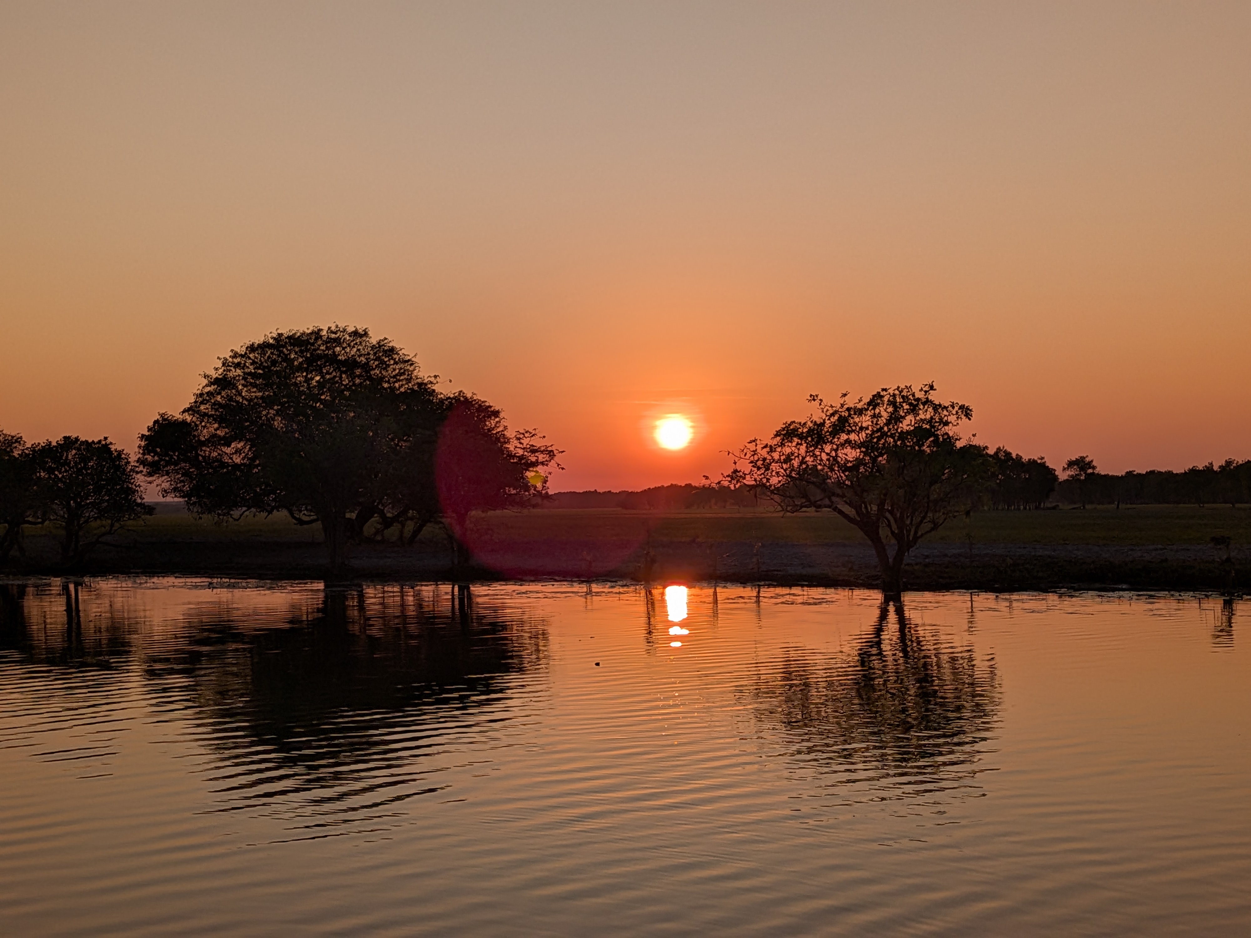 The sun climbing over the billabong