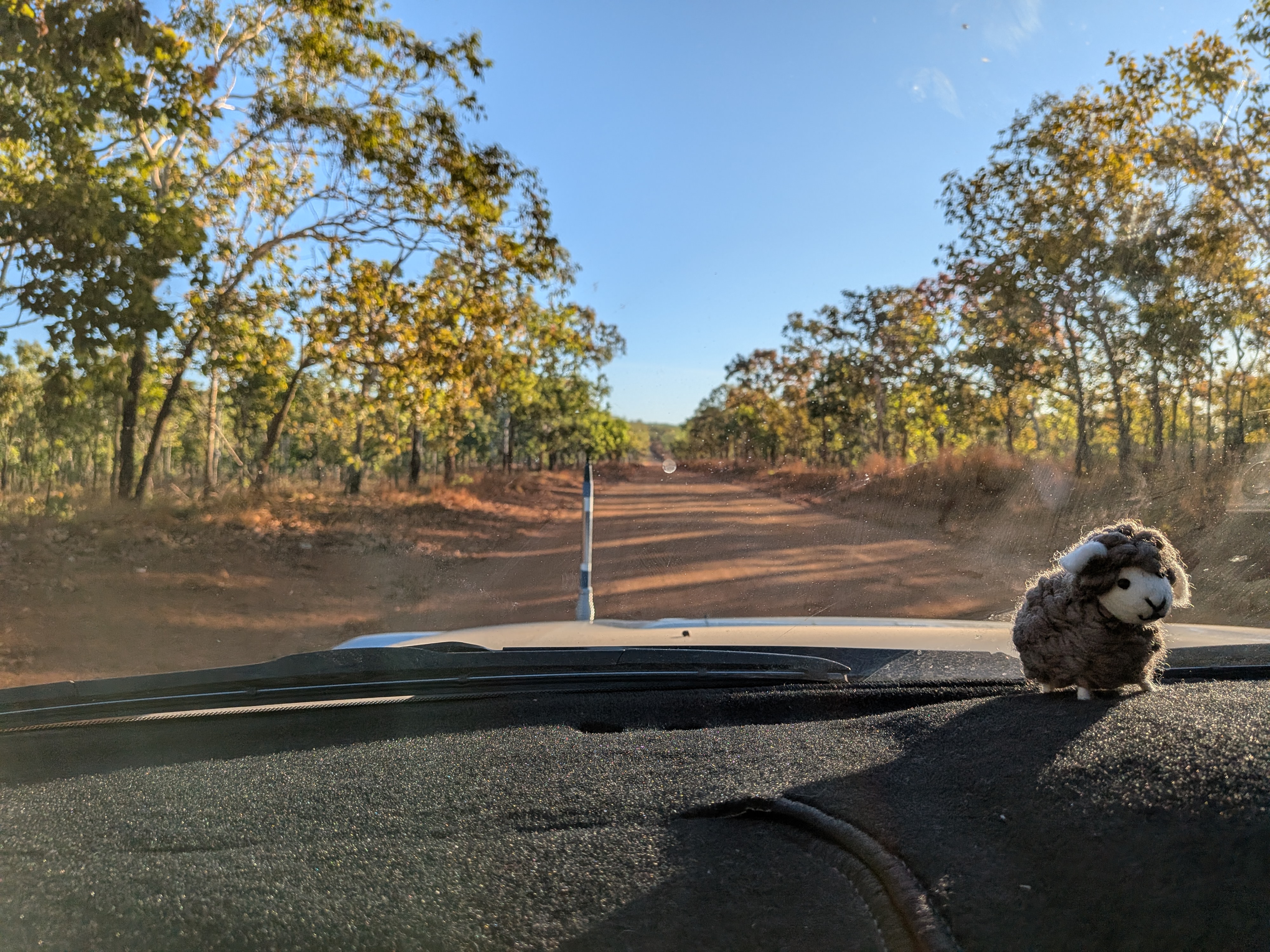 Baaanaby navigating the corrugations on the way out, radio antenna reattached and holding on