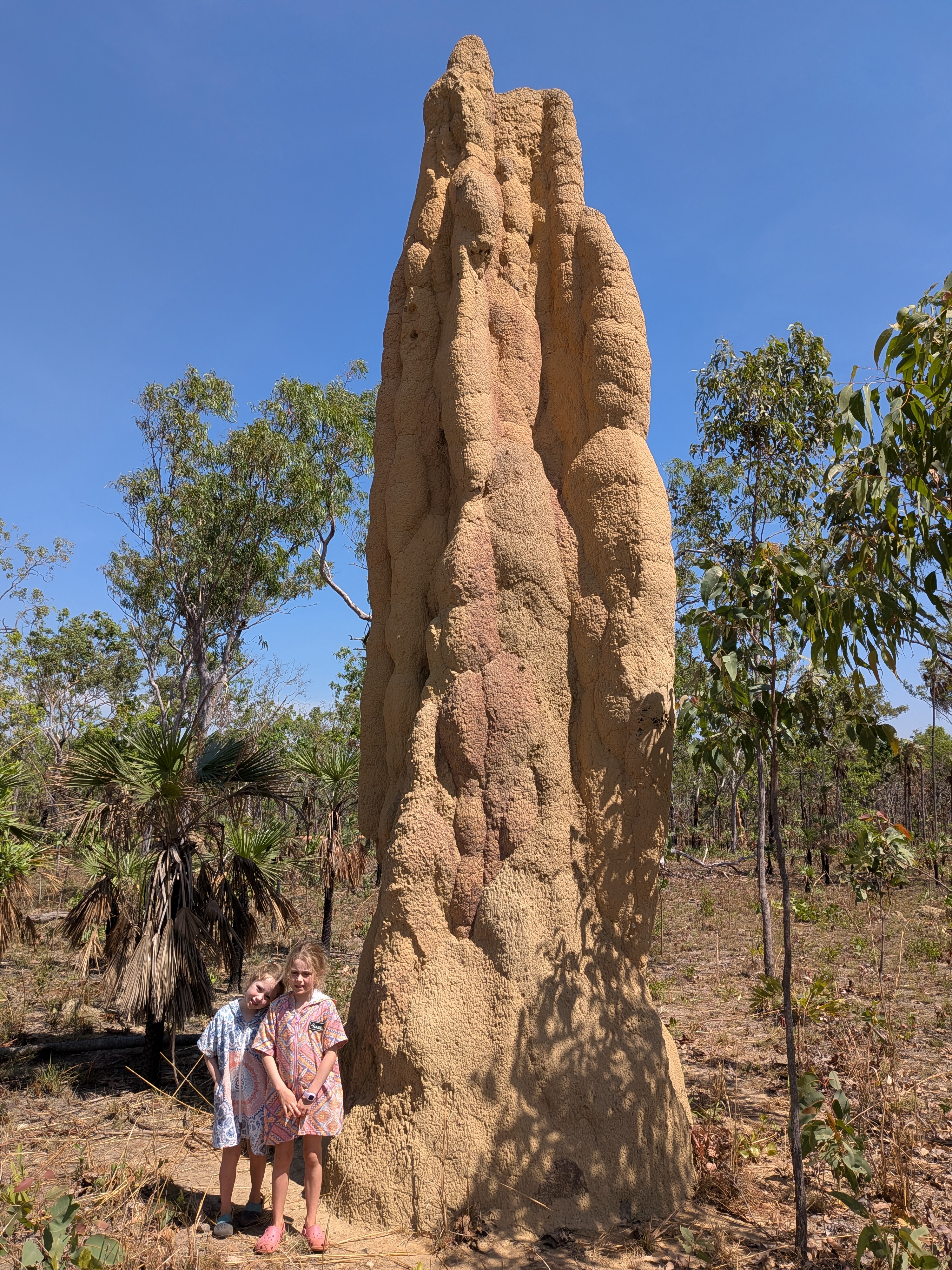 The girls dwarfed by a cathedral termite mound on the way to Sandy Creek