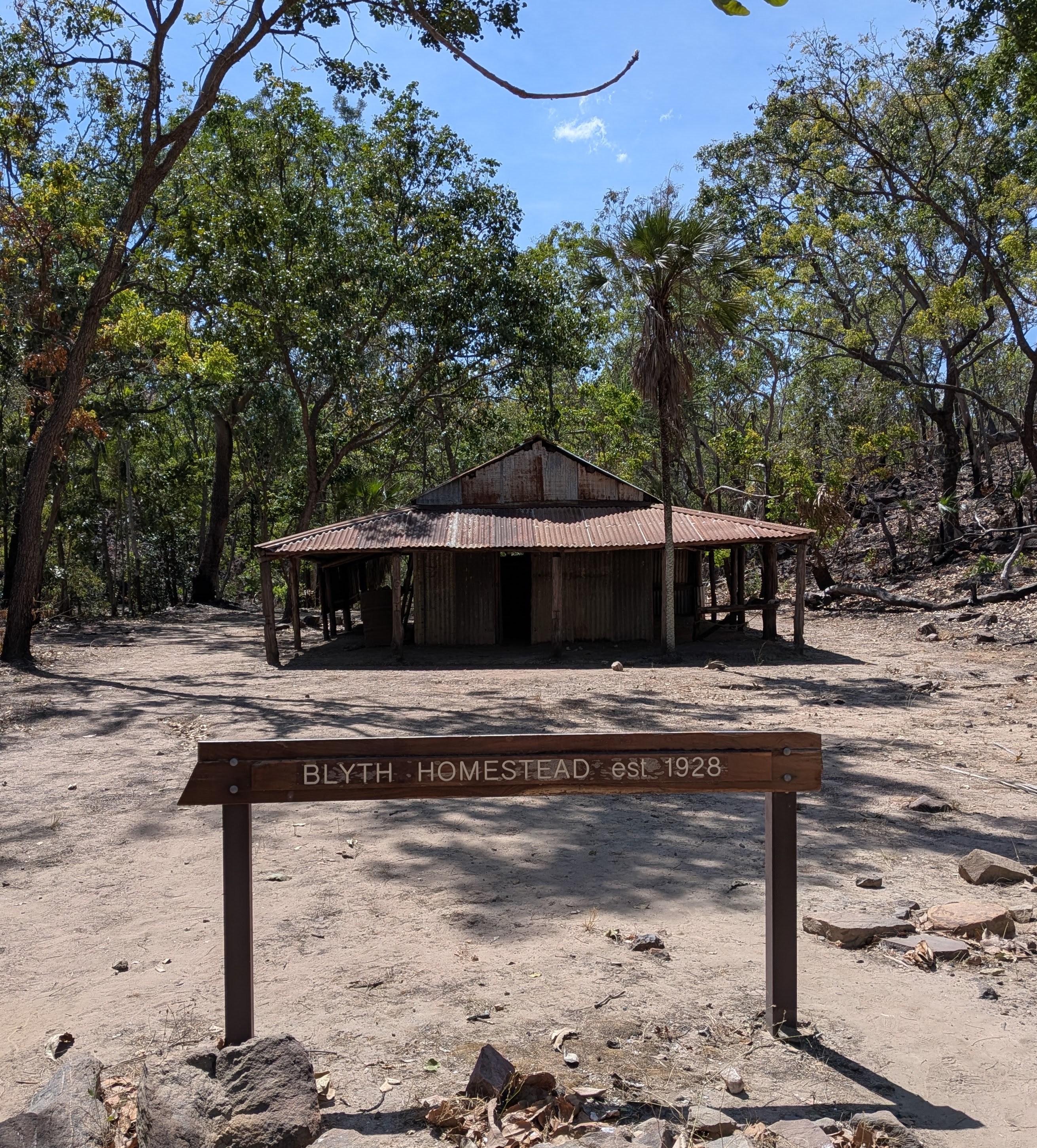 Blyth Homestead, est 1928 &mdash; carried over the plateau by teenagers and 32 horses