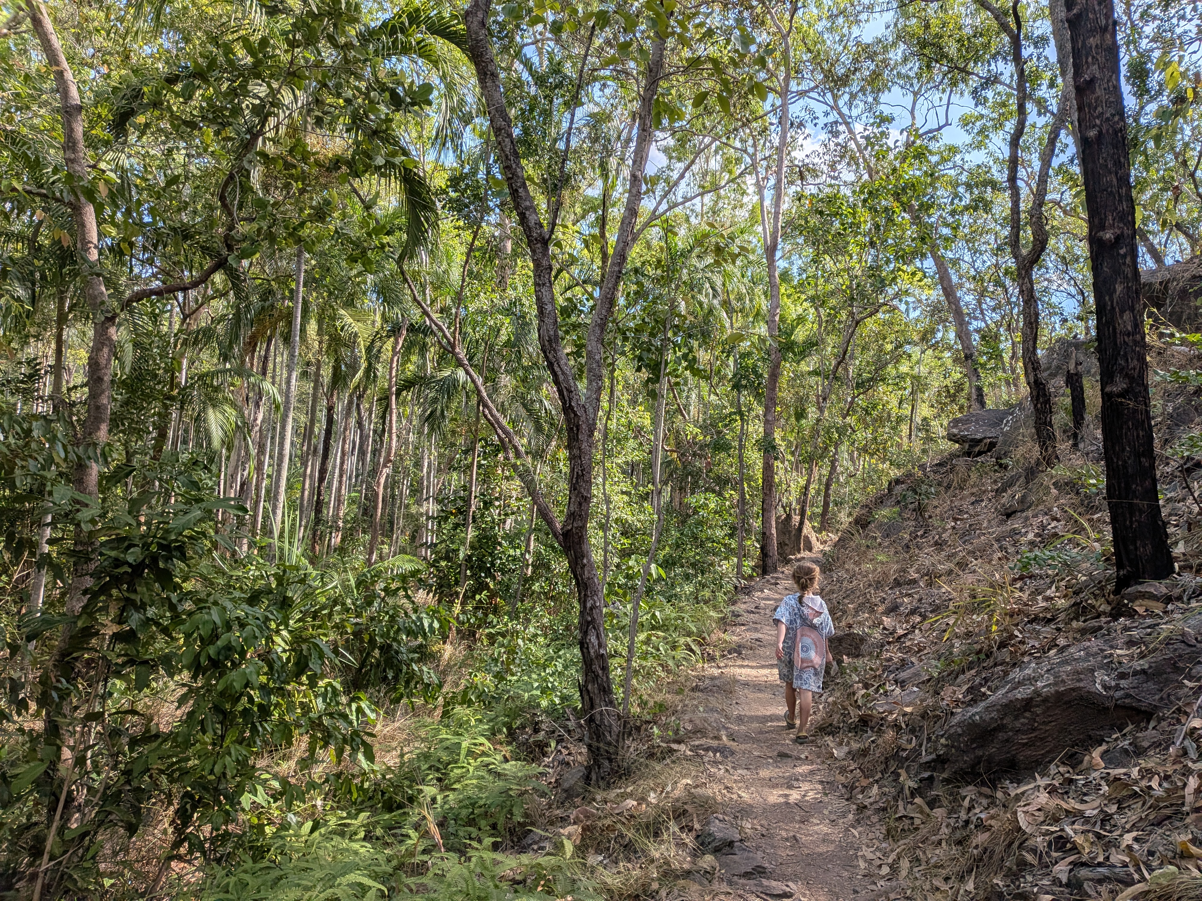 Leah leading the way through the palm forest