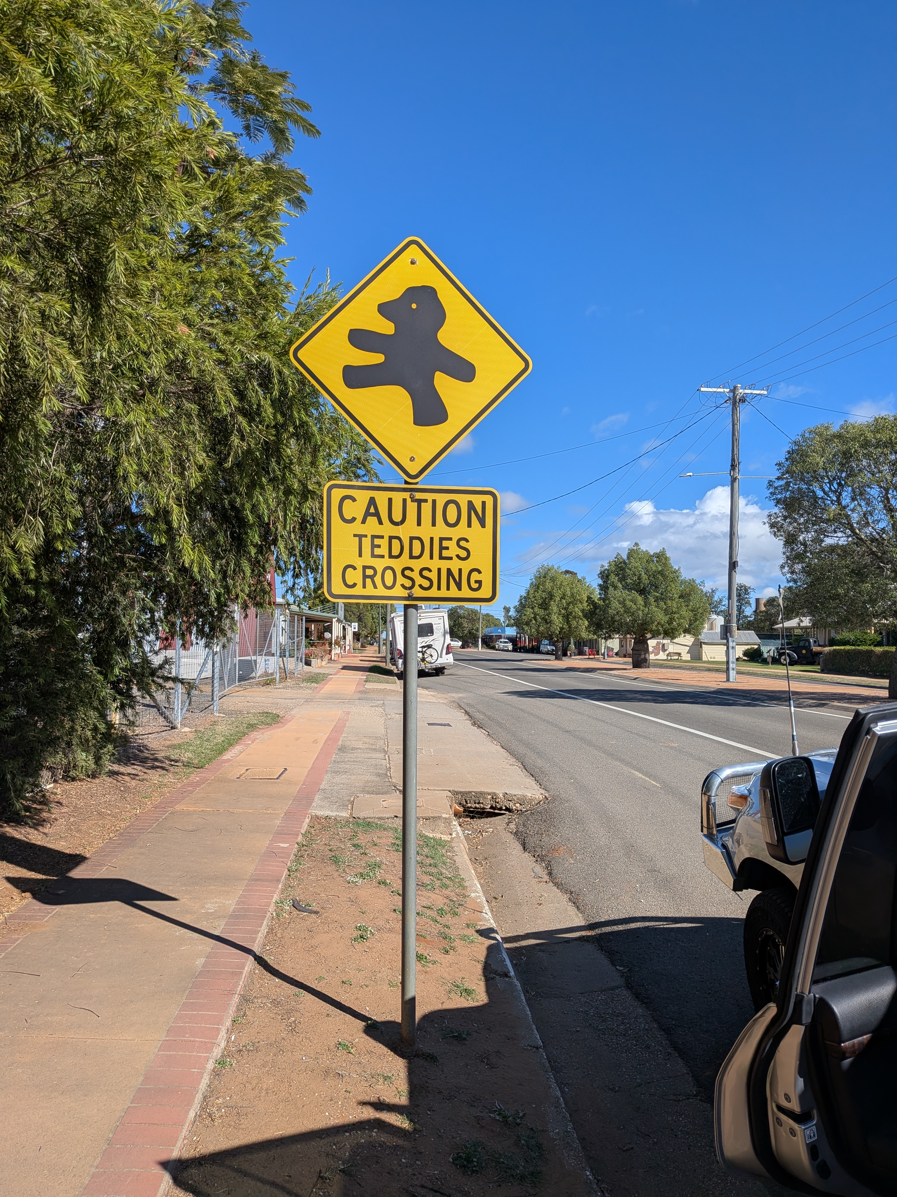 Caution Teddies Crossing road sign in Tambo