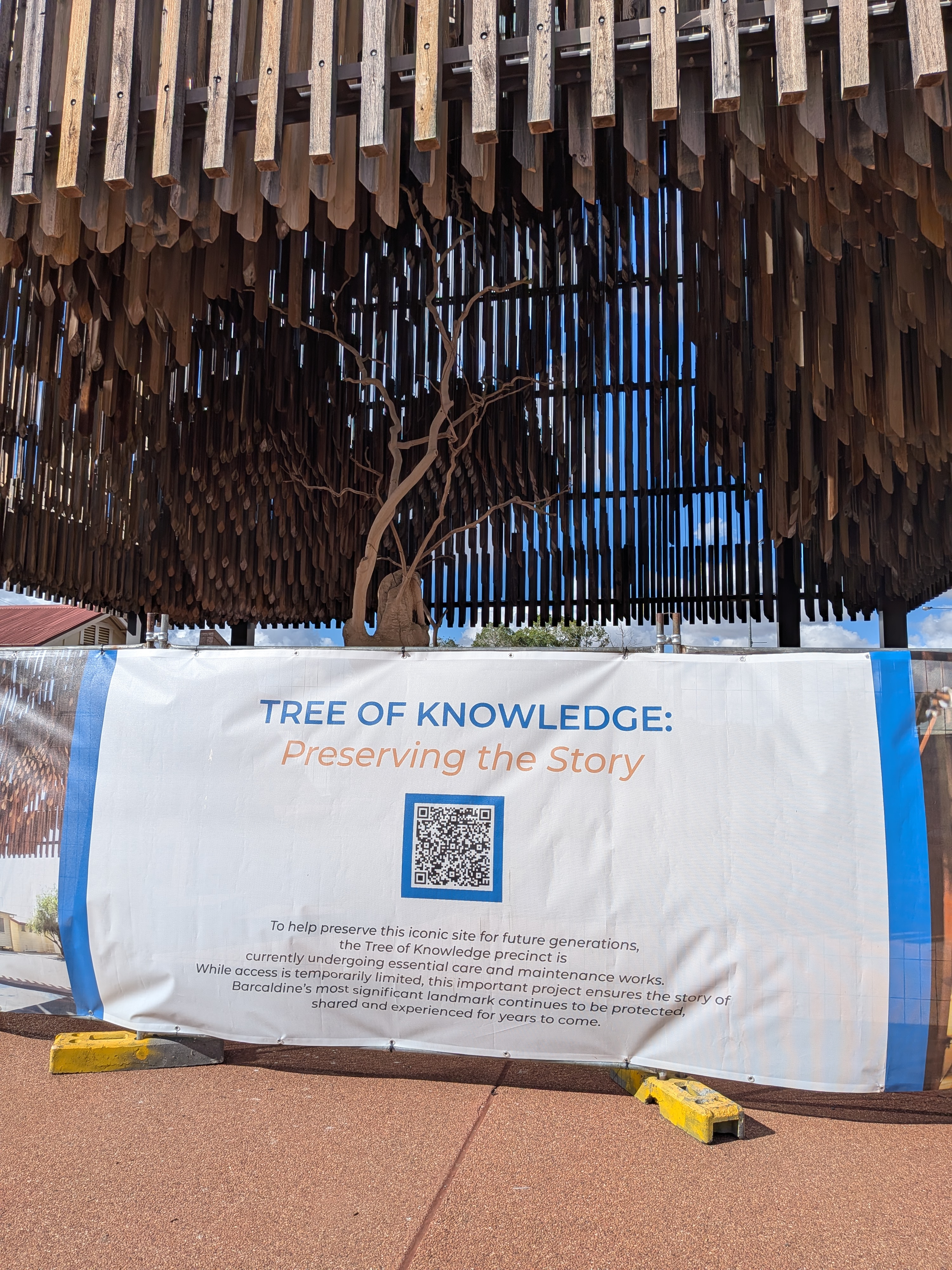Tree of Knowledge closed for maintenance in Barcaldine