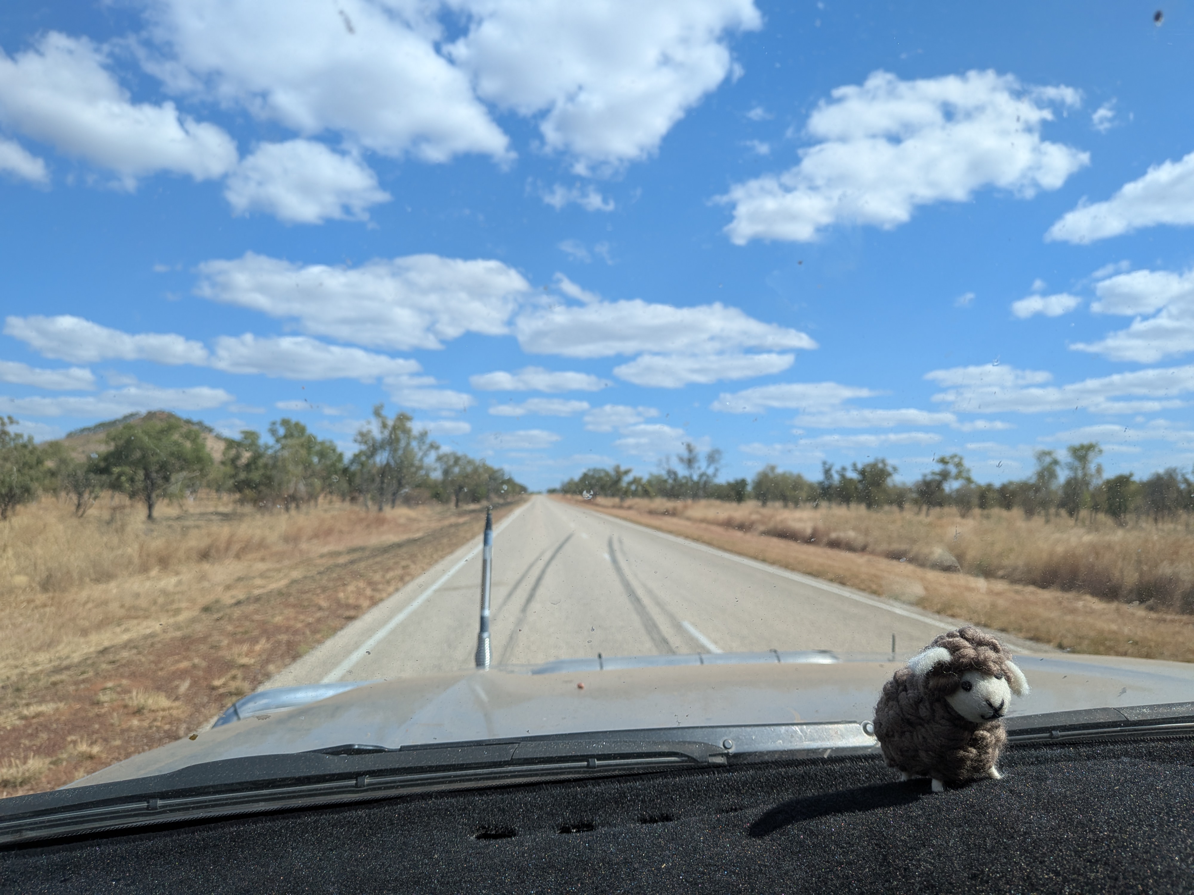 Baaanaby surveying a very straight, very empty Victoria Highway