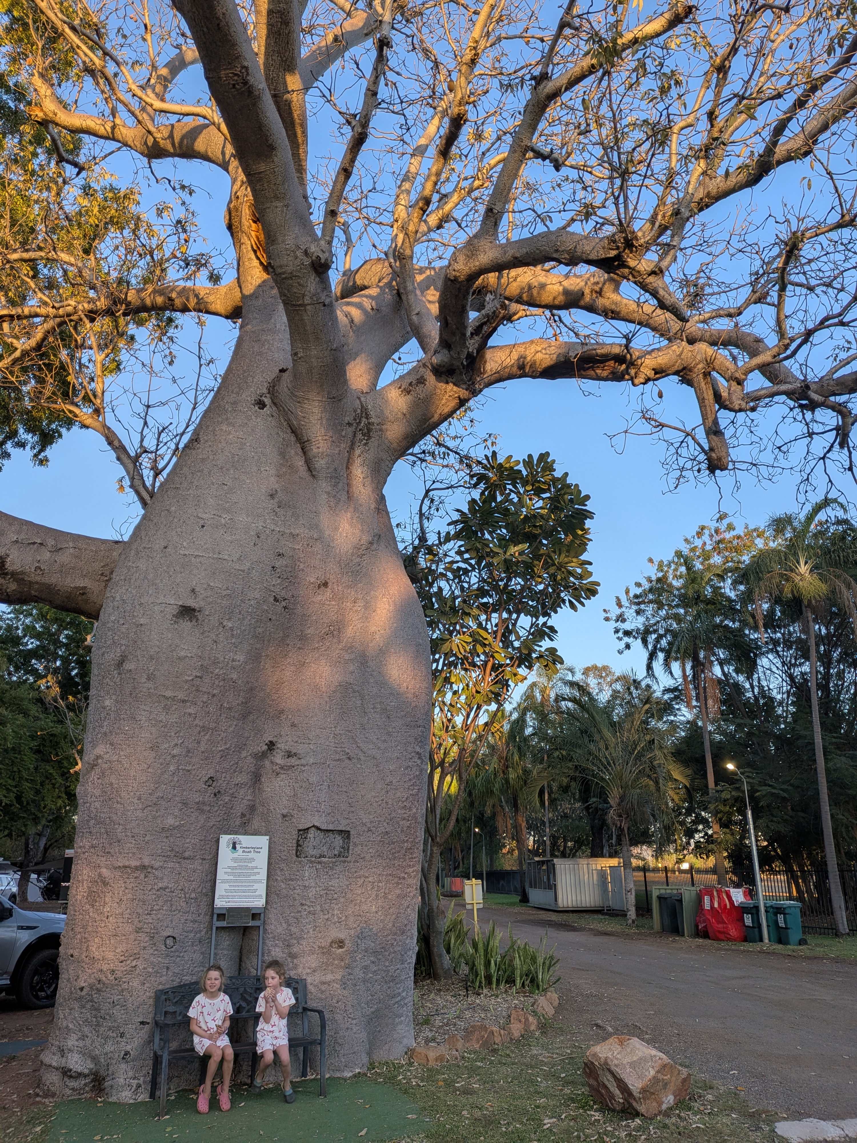 The girls on the bench under Kimberleyland&rsquo;s 2,000-year-old boab tree