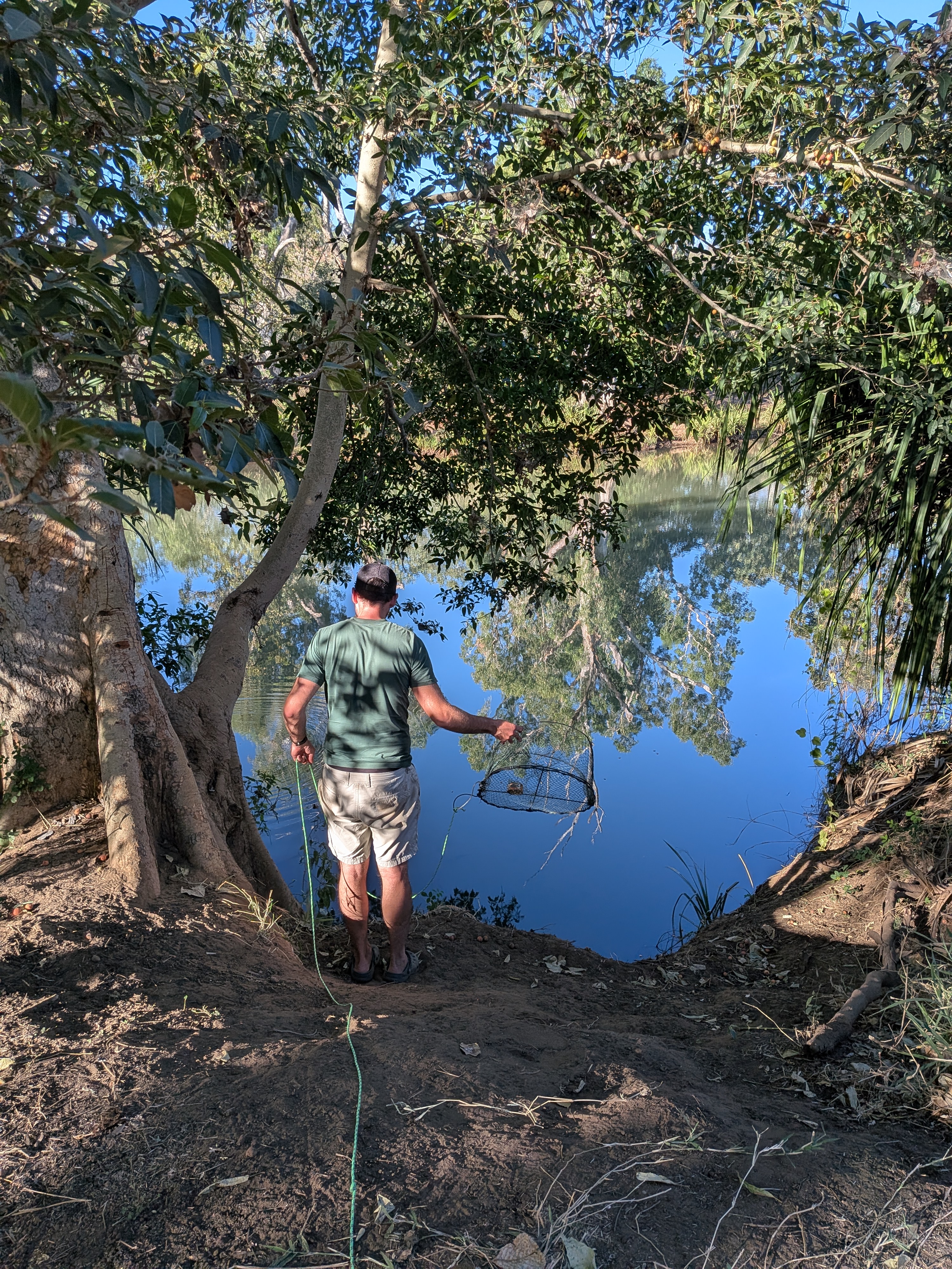 Dylan lowering a crab pot into the glassy river behind camp