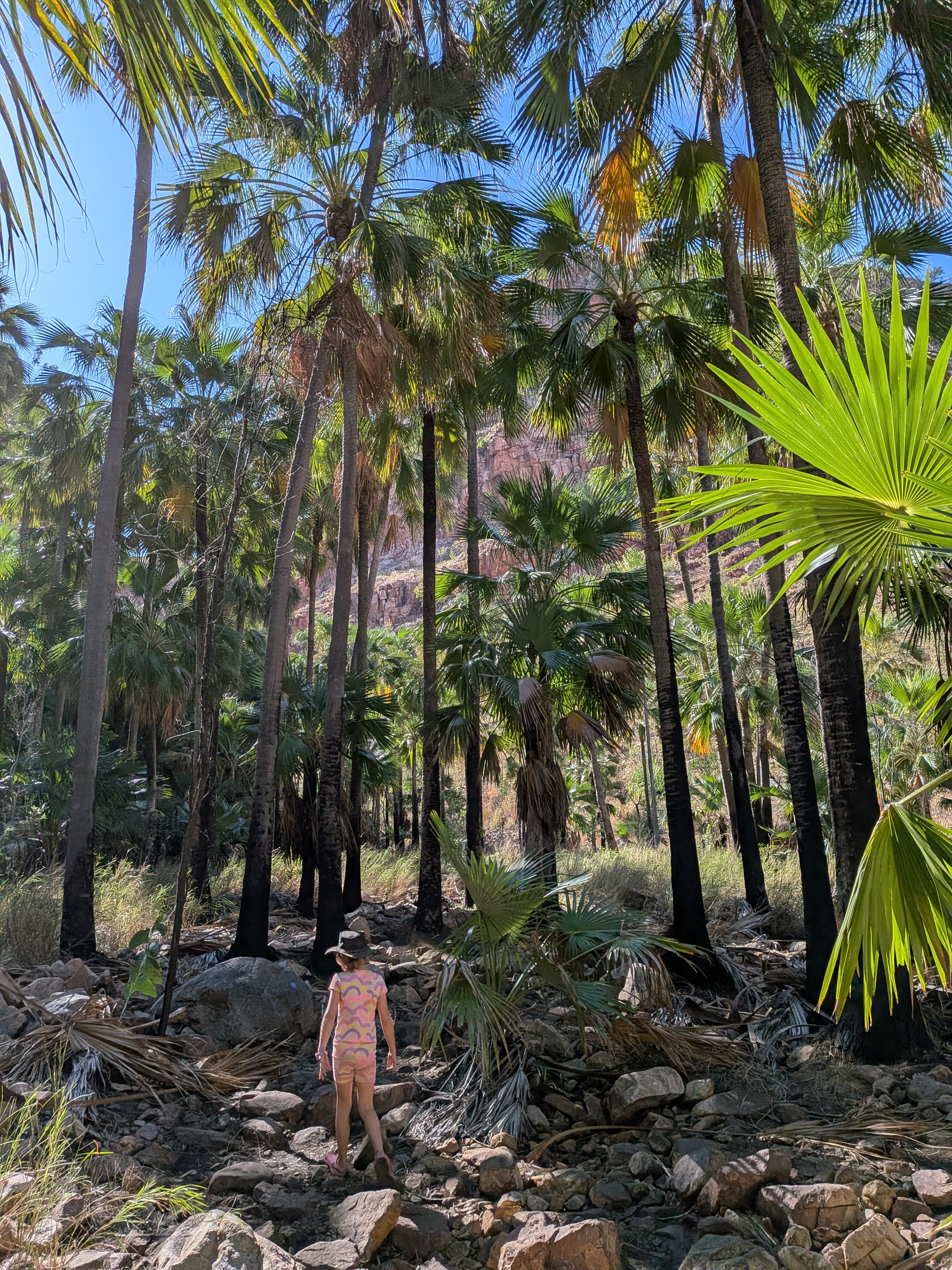 Hazel tiny beneath the Livistona palms, sun flaring through the gorge