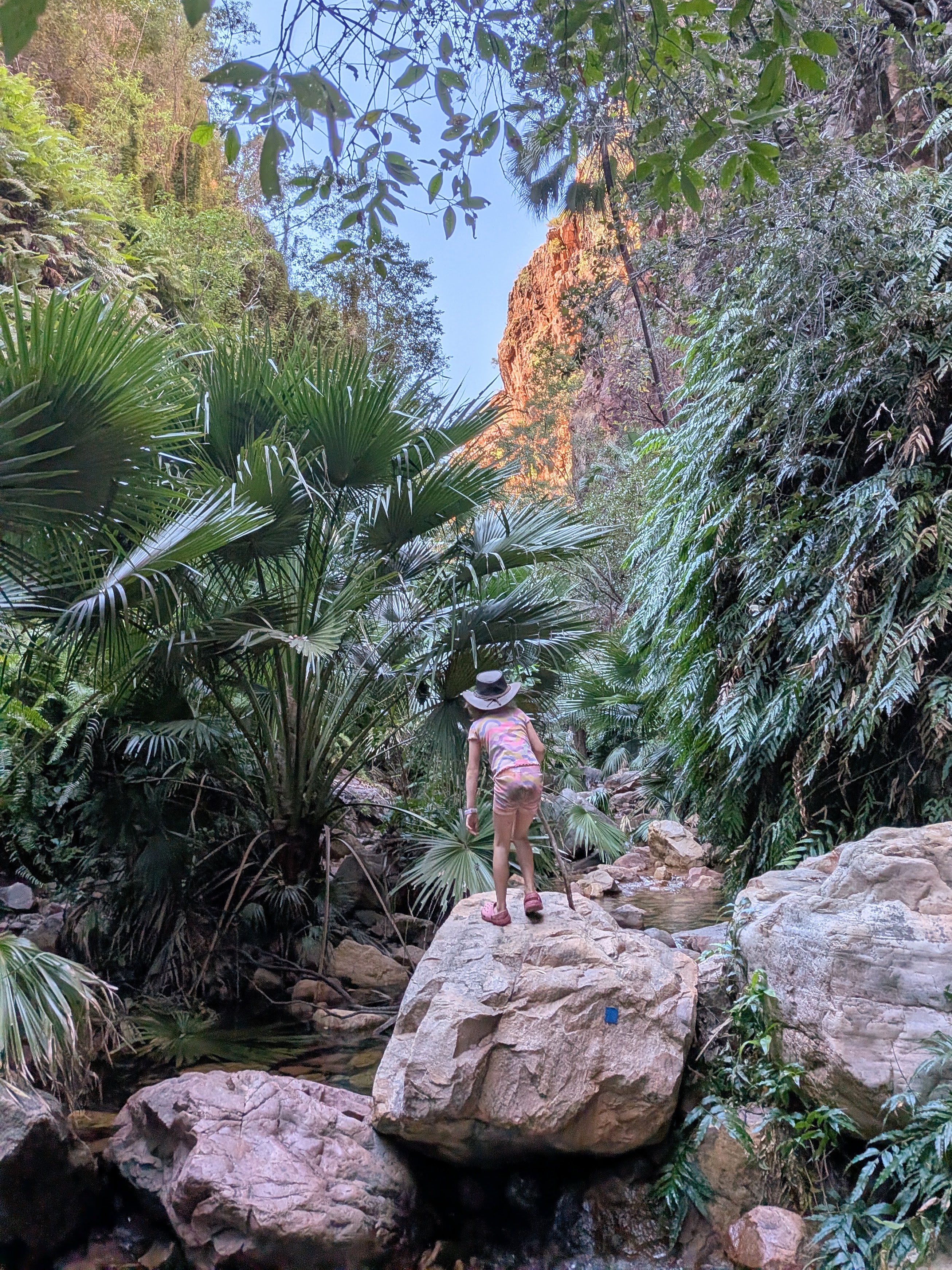 Hazel up on a boulder, following the blue trail markers