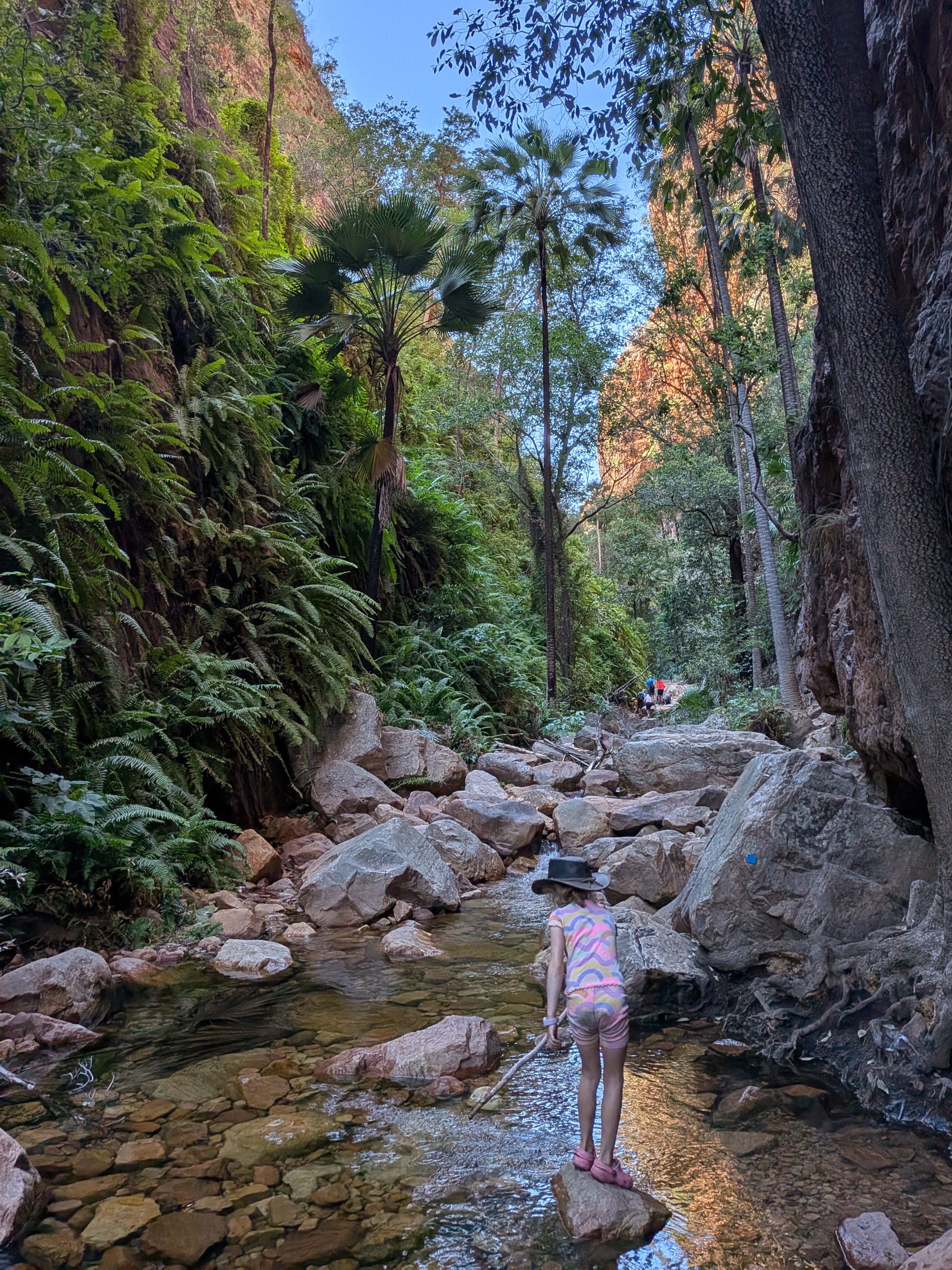 Hazel mid-creek, the gorge corridor closing in ahead
