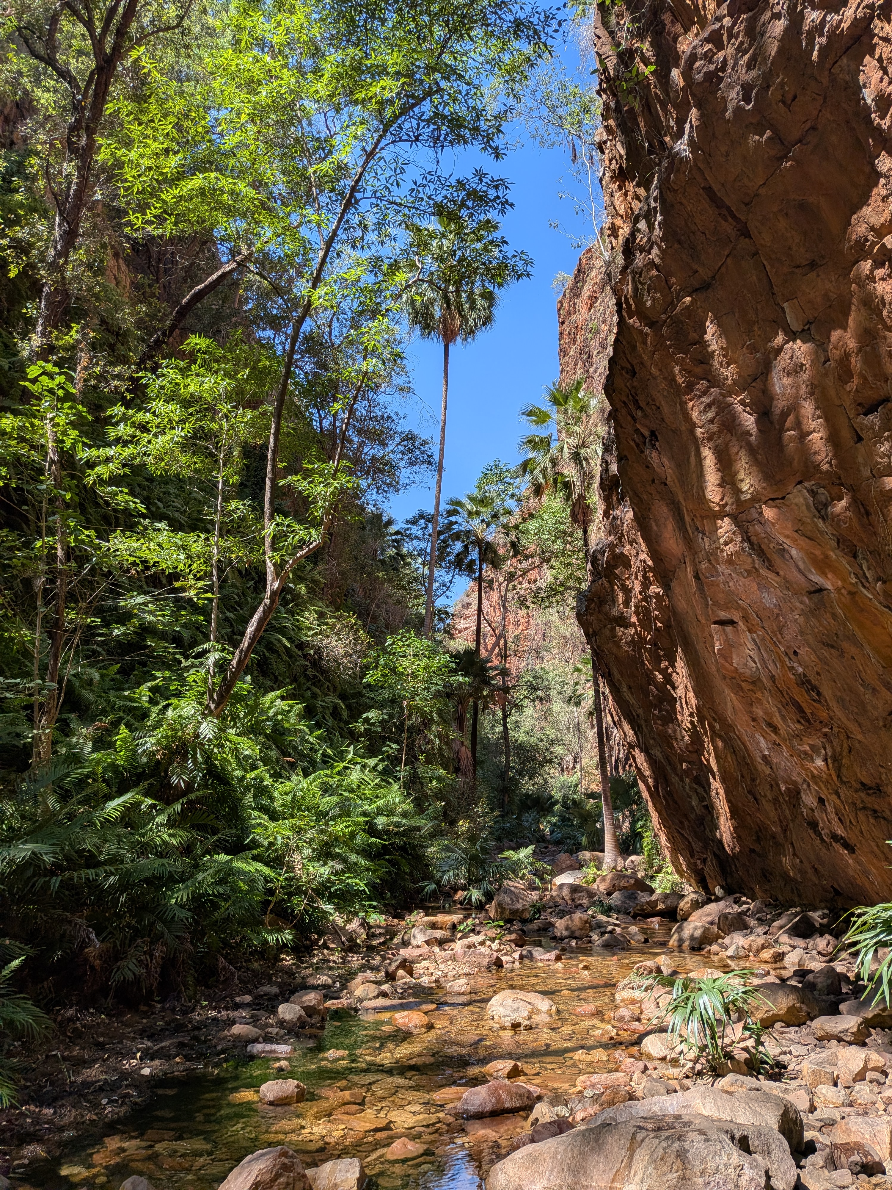 El Questro Gorge to ourselves for a moment