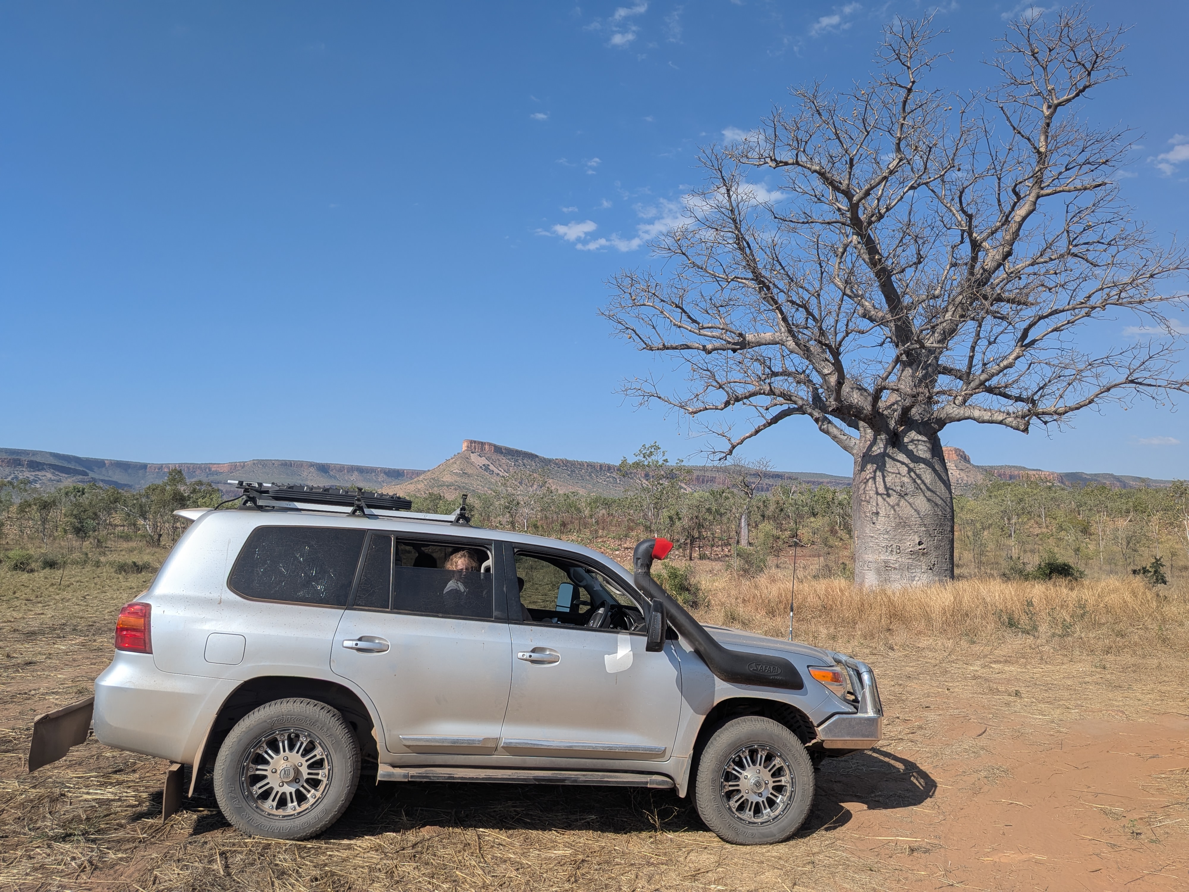 The very impressive boab we found on the 4WD track around the site