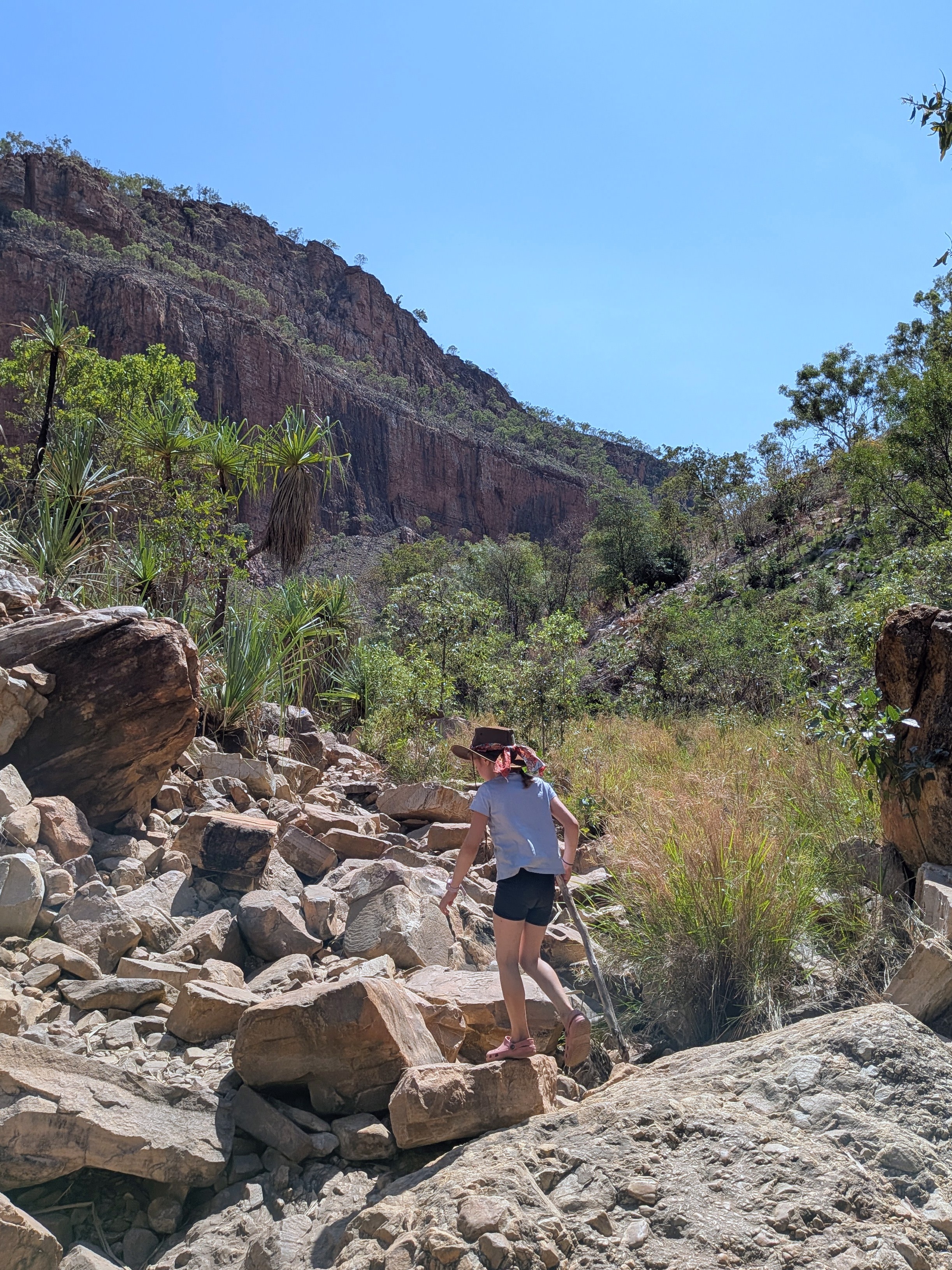 Hazel and her walking stick picking through the rocks