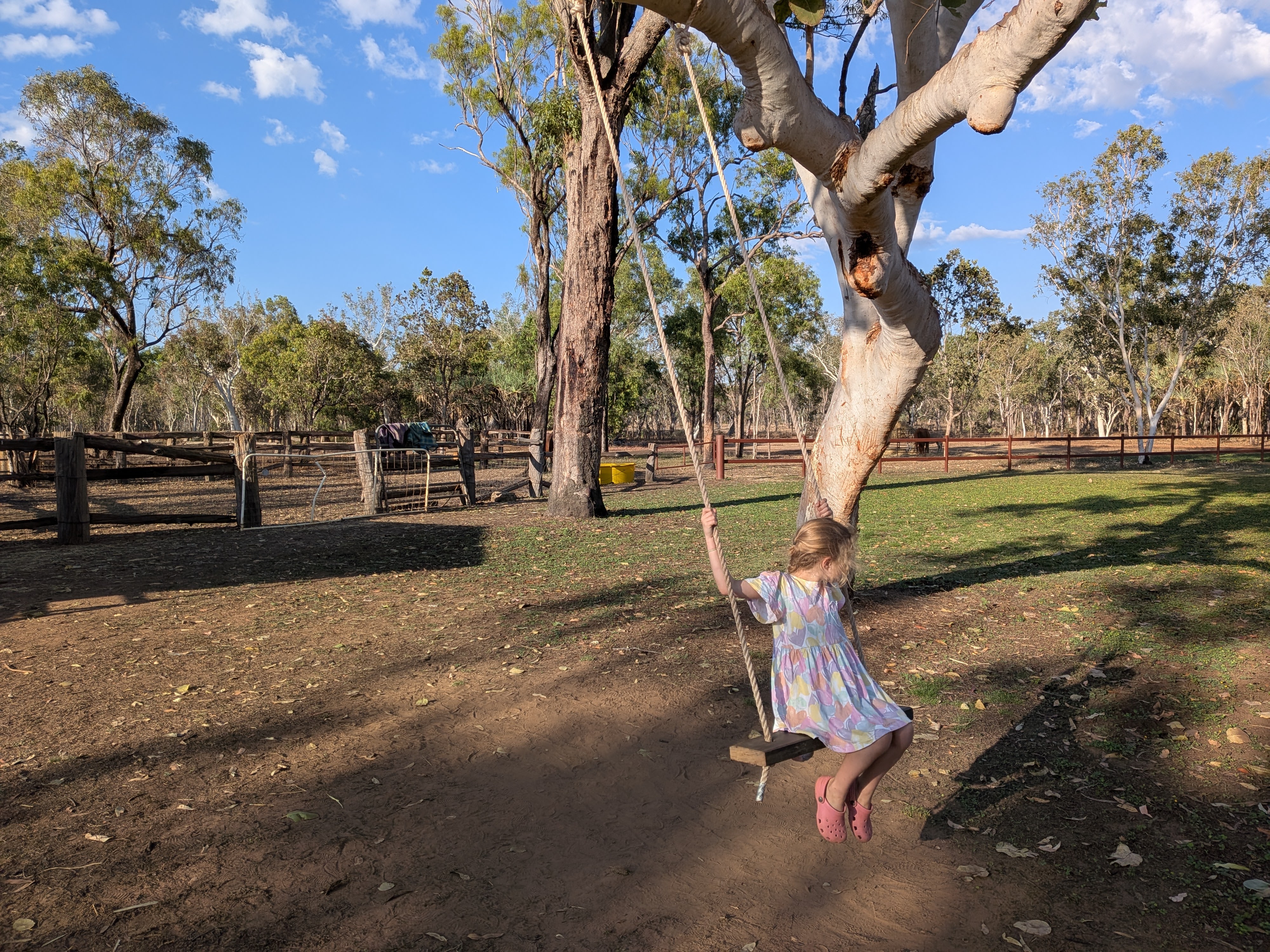 Hazel and the rope swing by the horse yards