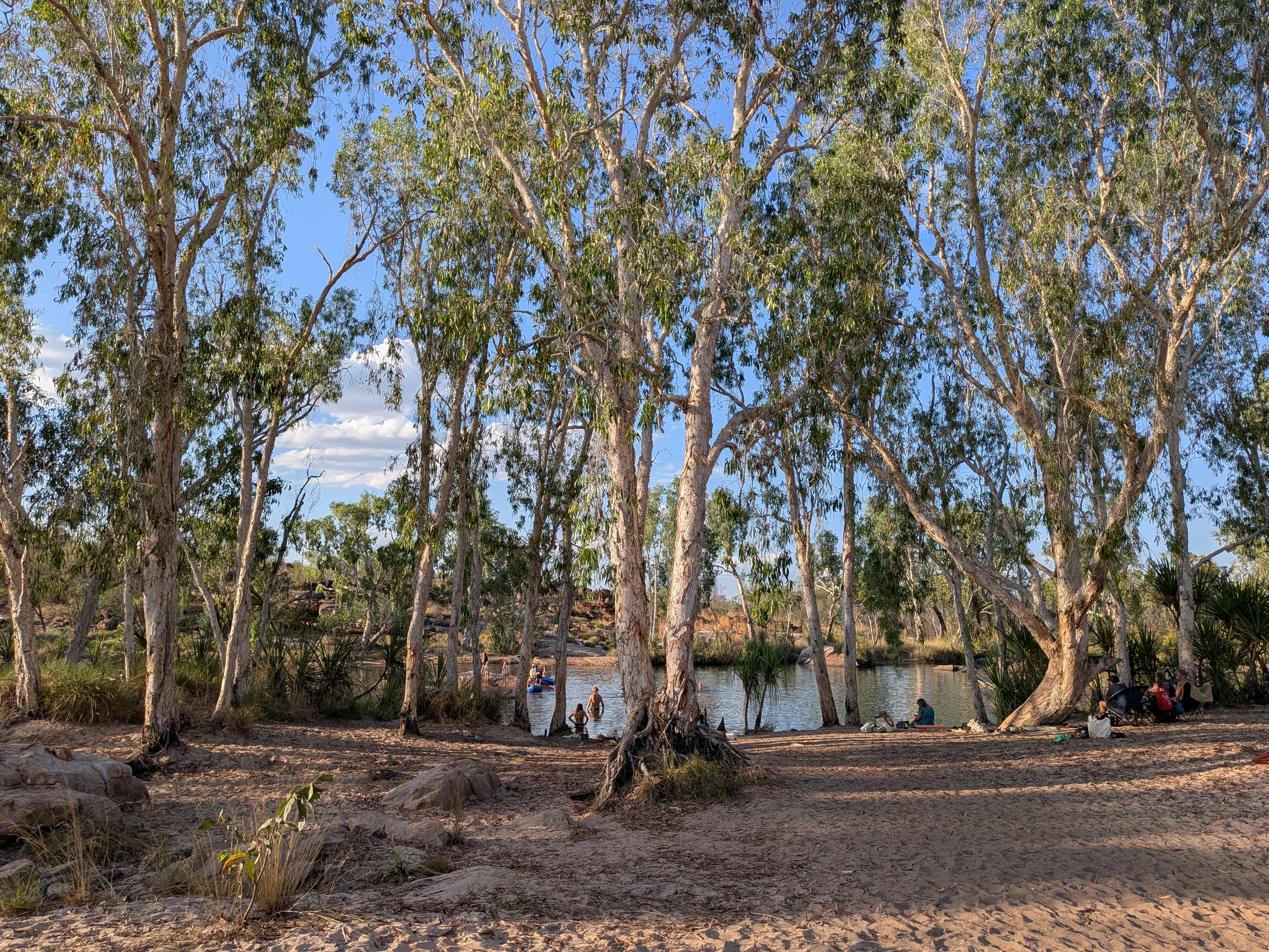 The sandy beach onto the gum-tree lined pool