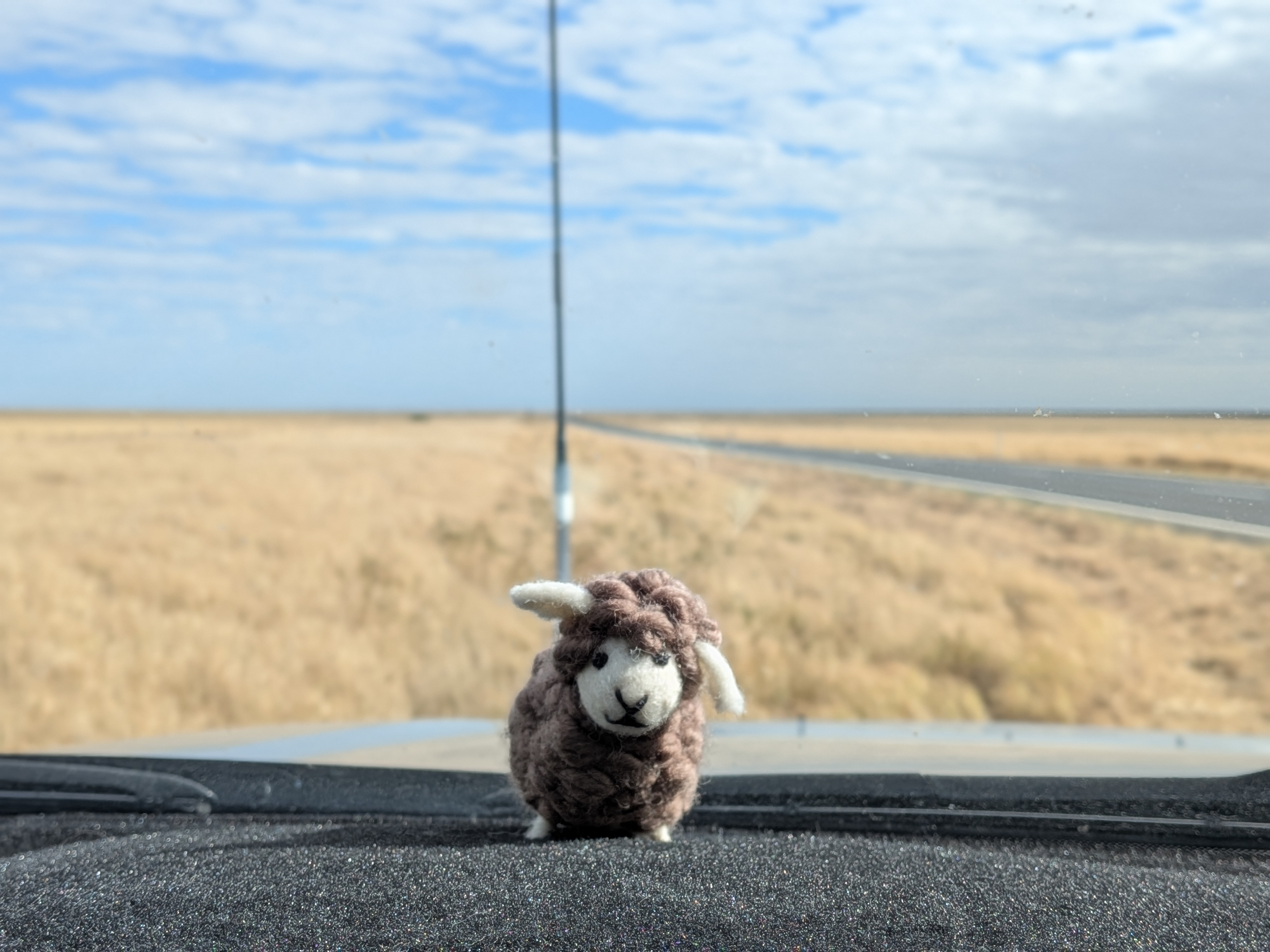Little wool sheep on the dashboard with endless outback highway ahead