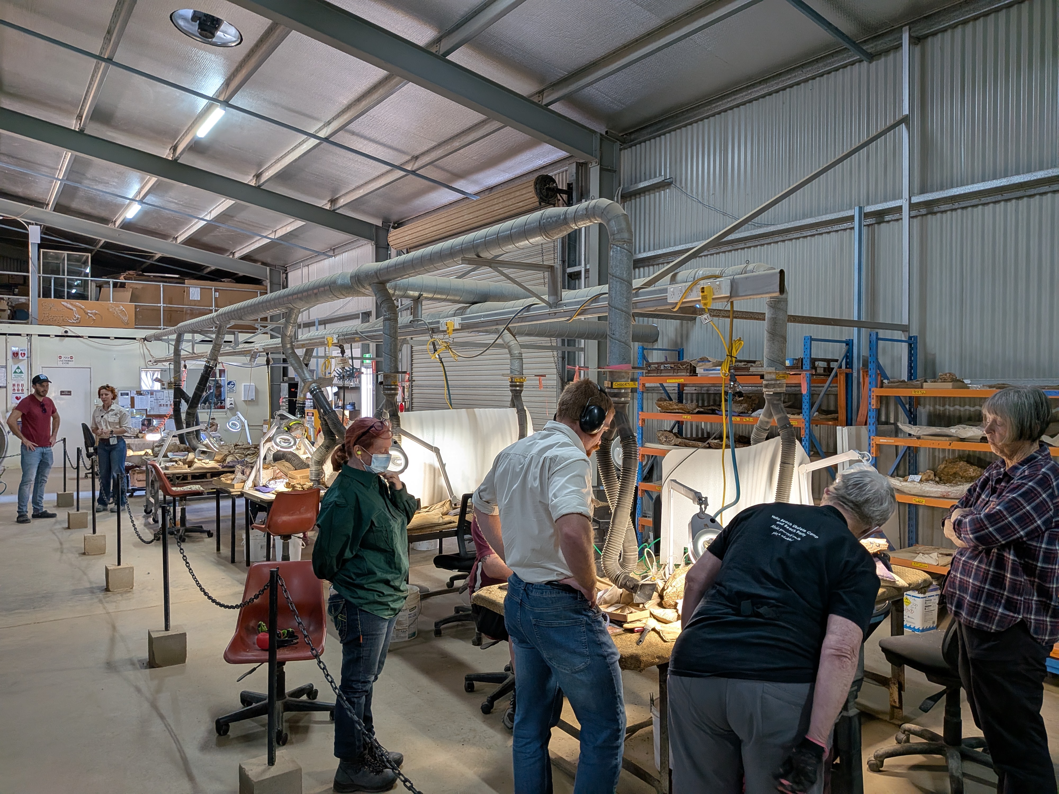 Volunteers extracting fossils in the preparation lab
