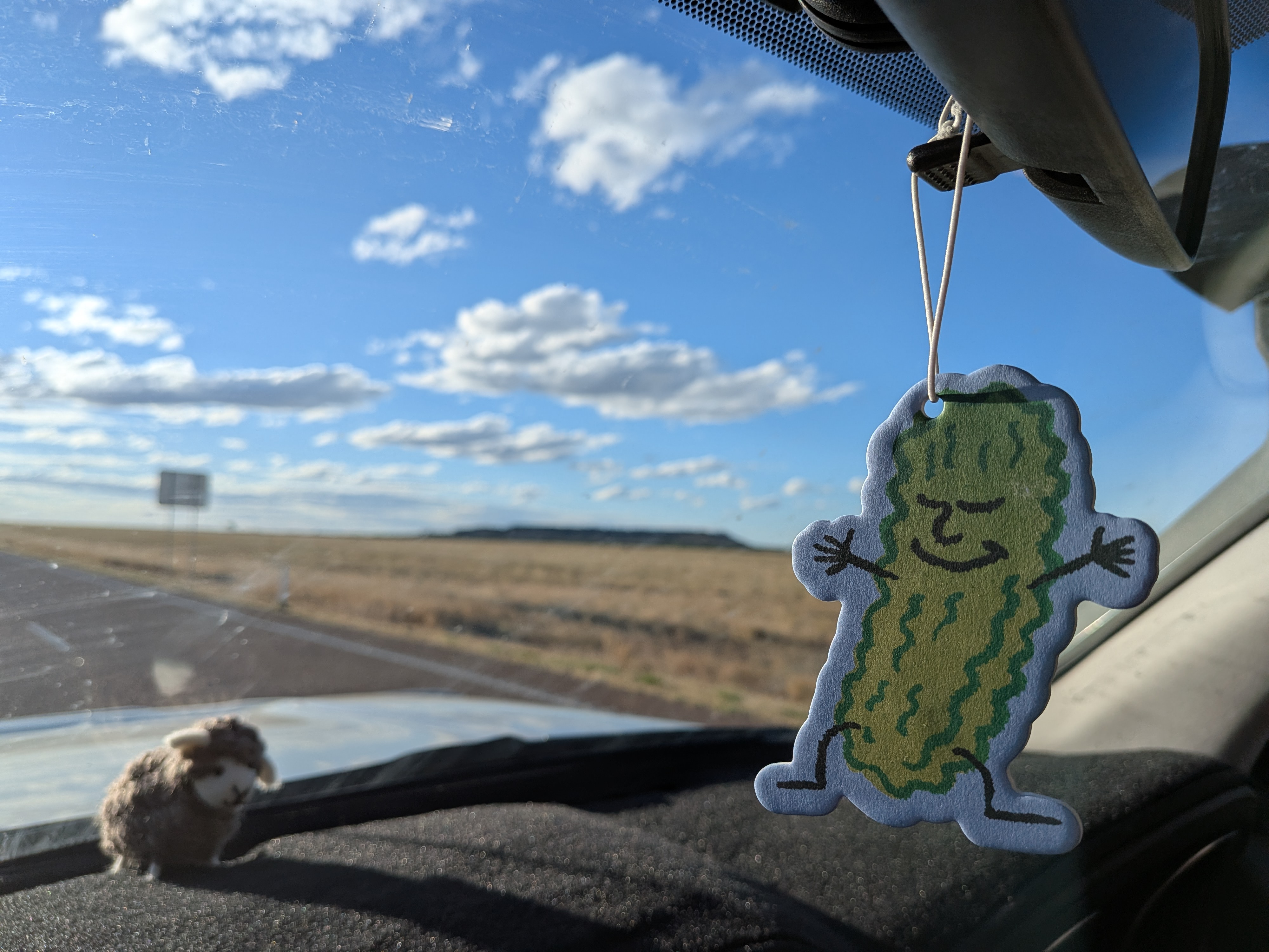 Pickle air freshener and wool sheep on the dashboard