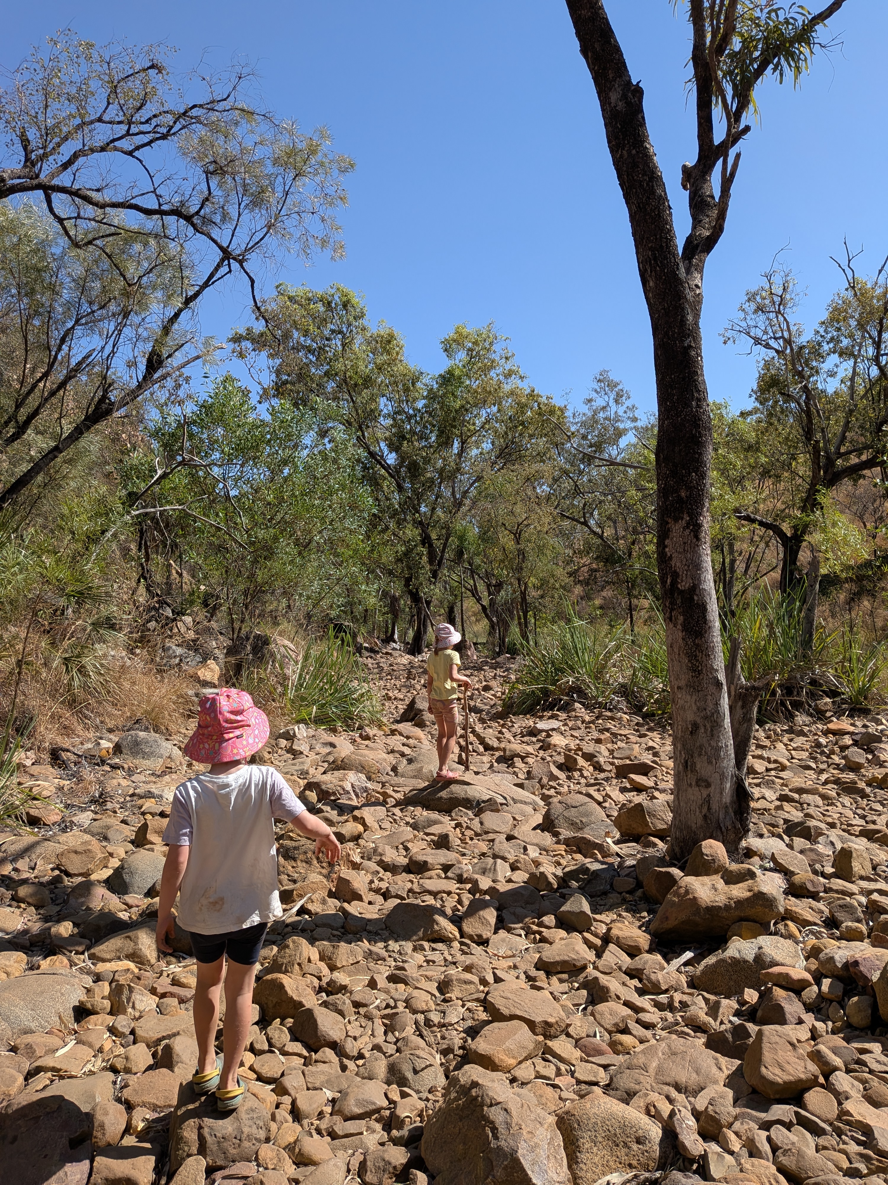 Picking along the creek bed on the walk in to Bell Gorge