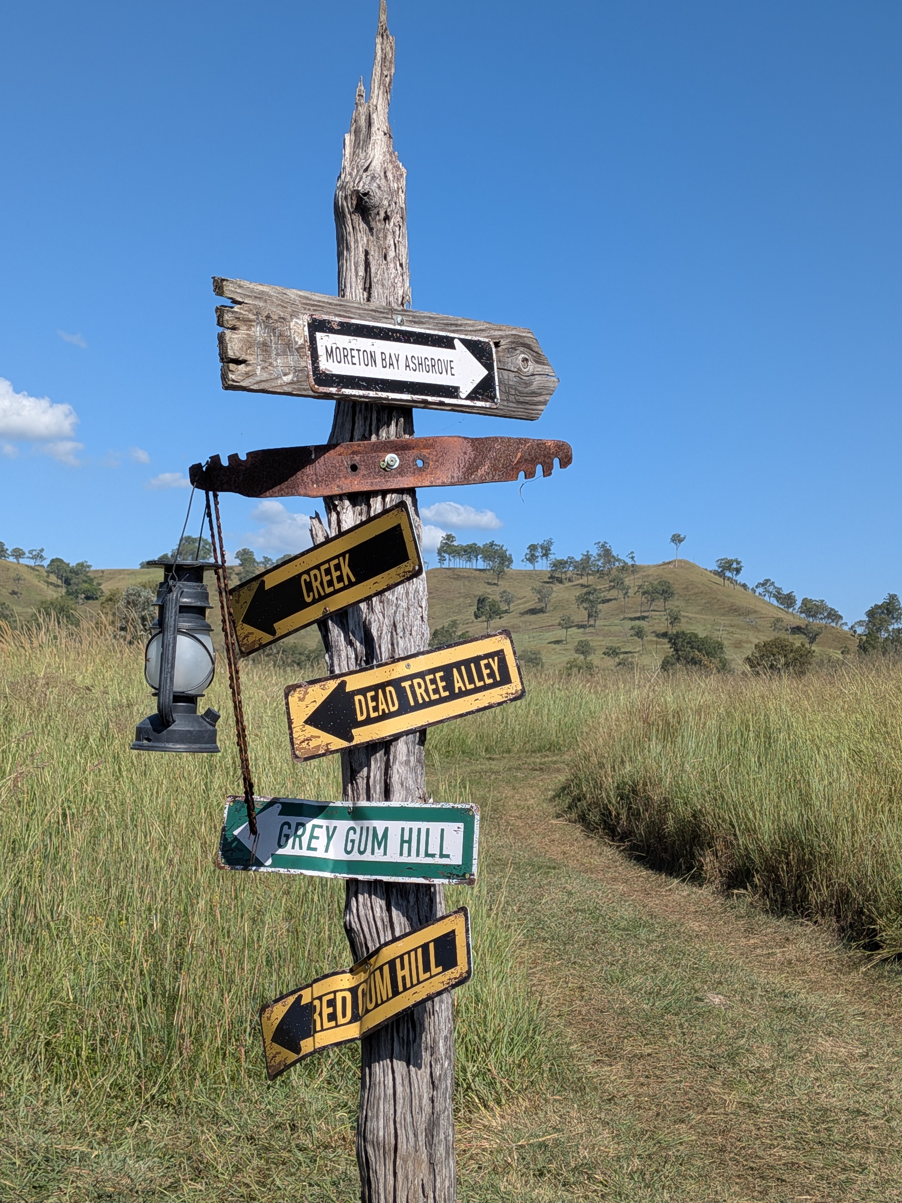 Rustic Hipcamp signpost with directions to Creek, Dead Tree Alley and Grey Gum Hill