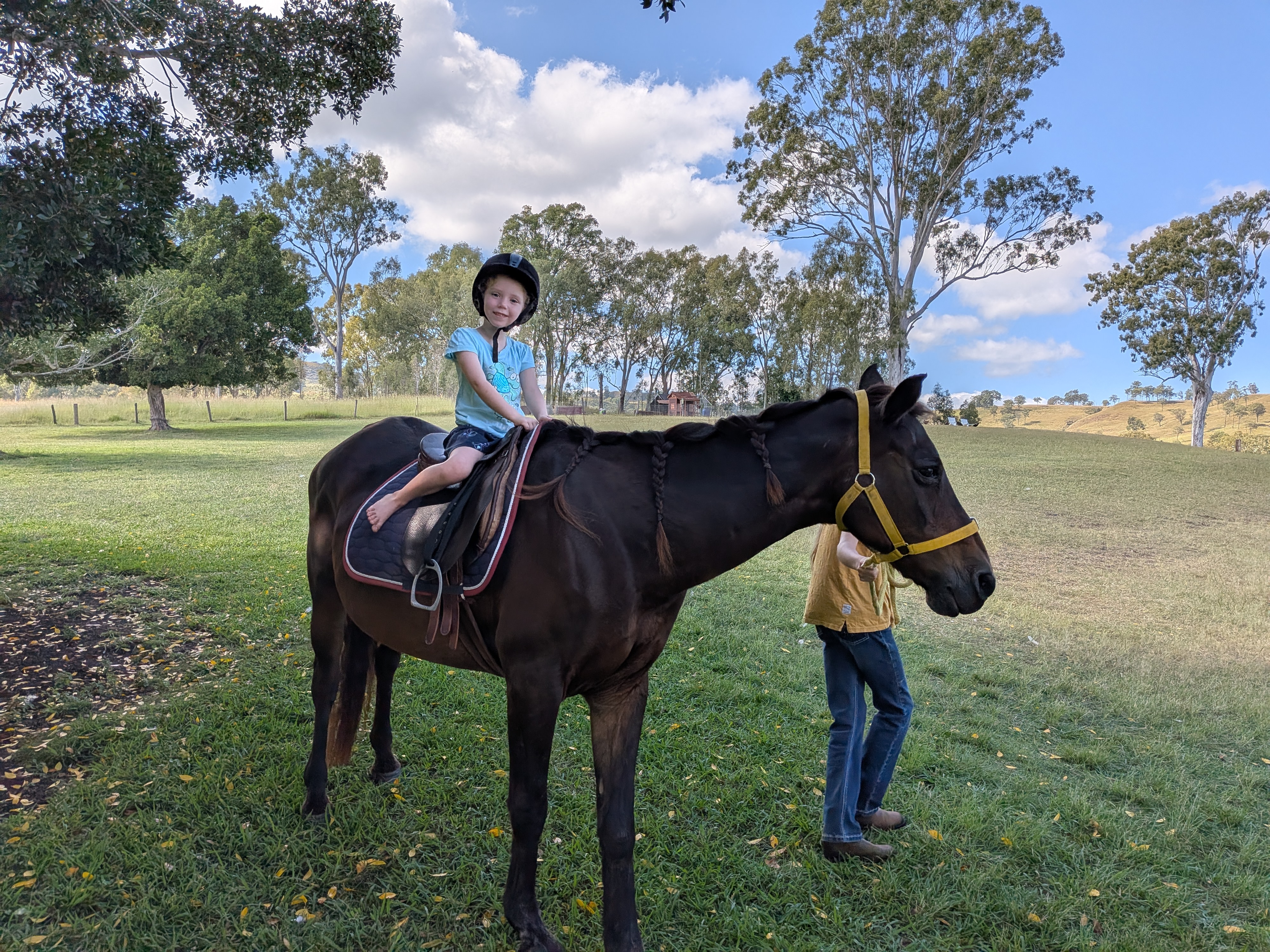 Horse riding at the Hipcamp