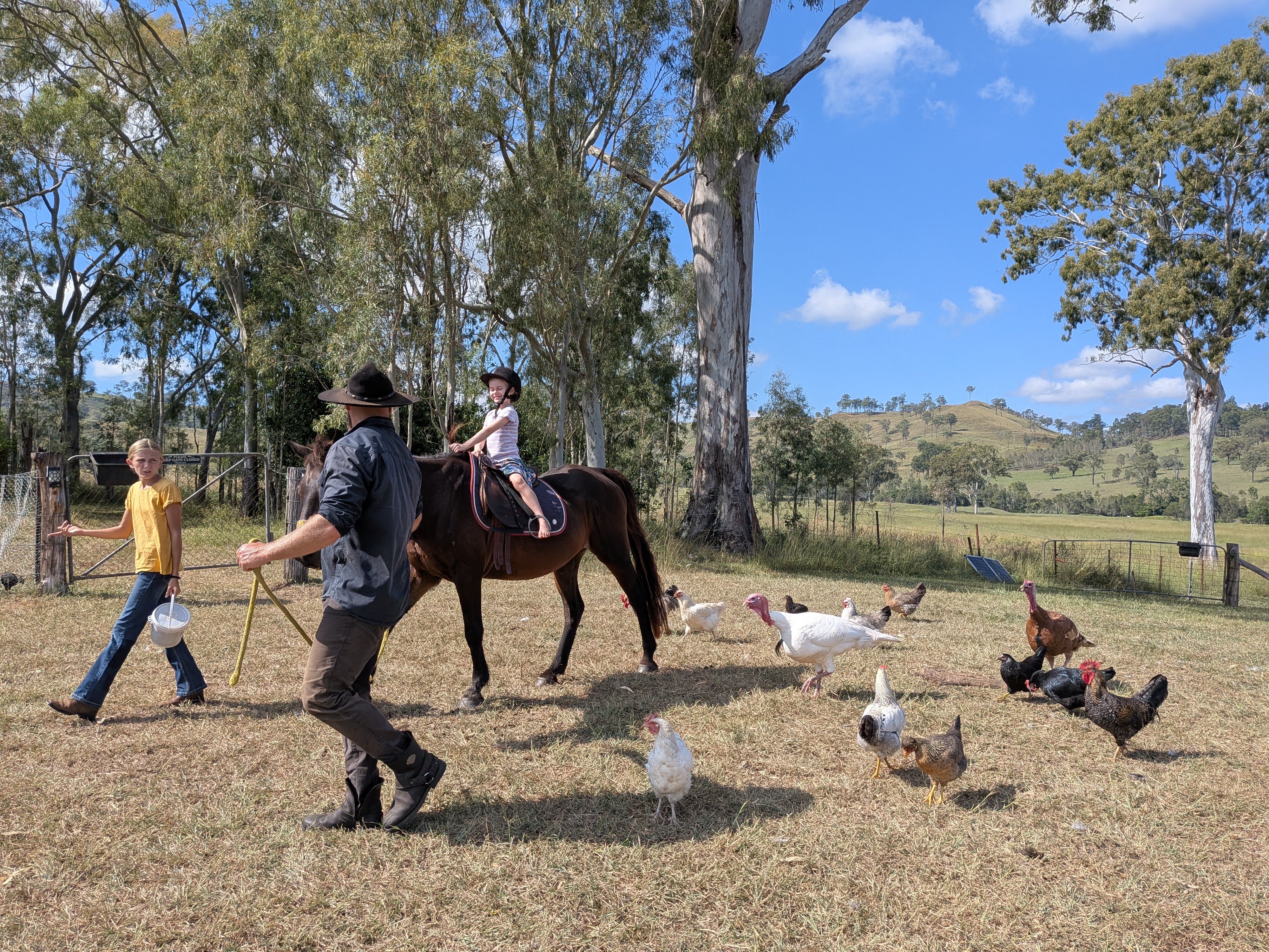 Horse ride with chickens scattering